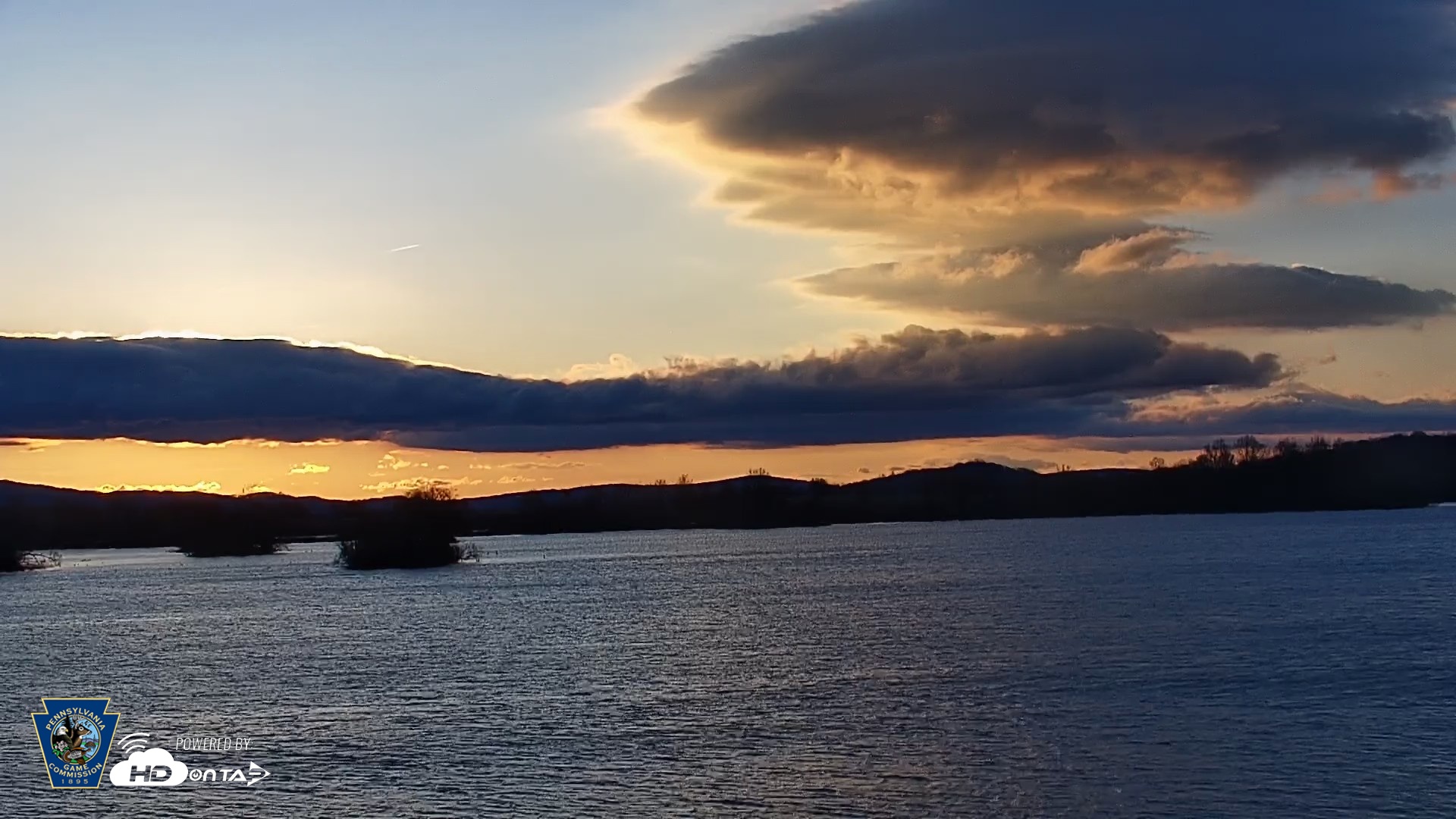 Snapshot of Pennsylvania Snow Geese Live Webcam taken Apr 11, 2026, 6:54am EDT