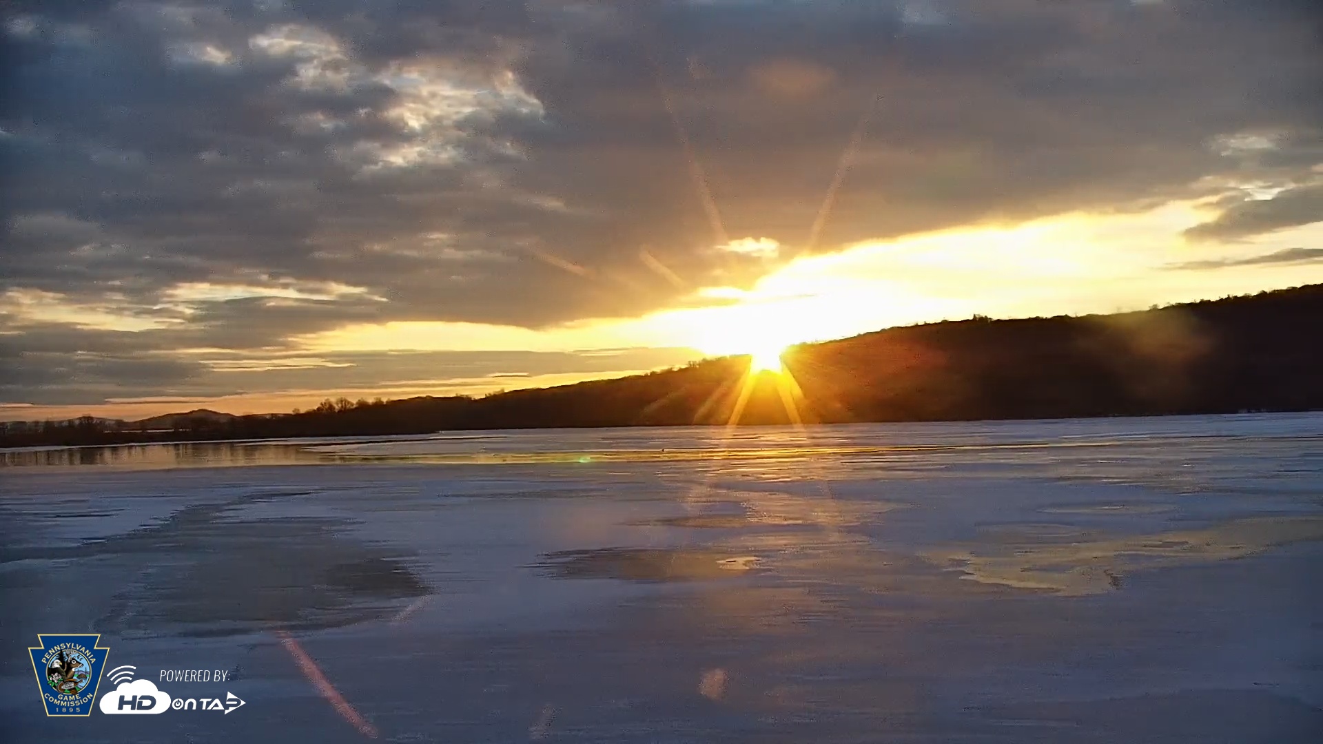 Snapshot of Pennsylvania Snow Geese Live Webcam taken Dec 17, 2025, 7:43am EST