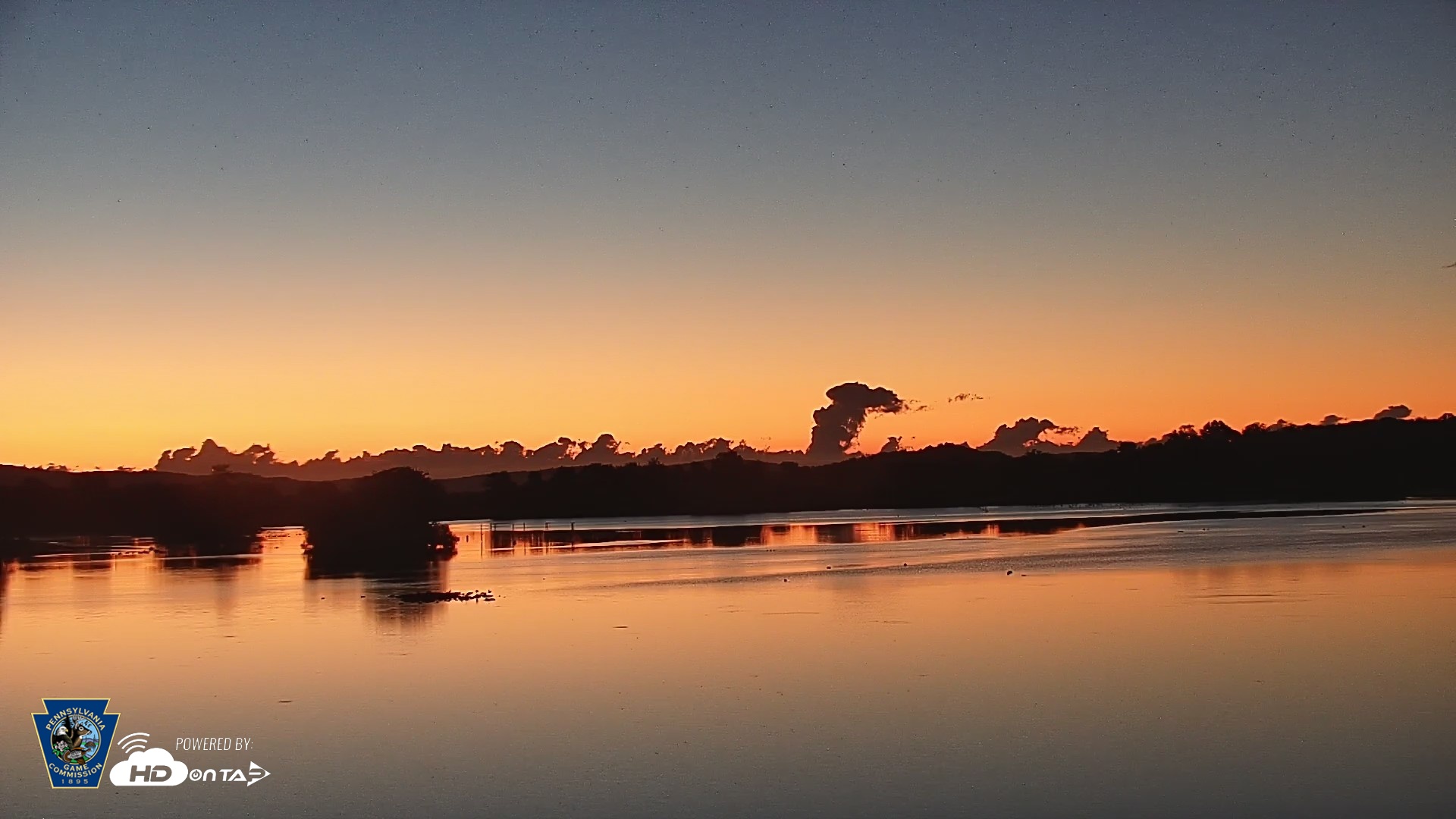 Snapshot of Pennsylvania Snow Geese Live Webcam taken Sep 7, 2026, 6:02am EDT