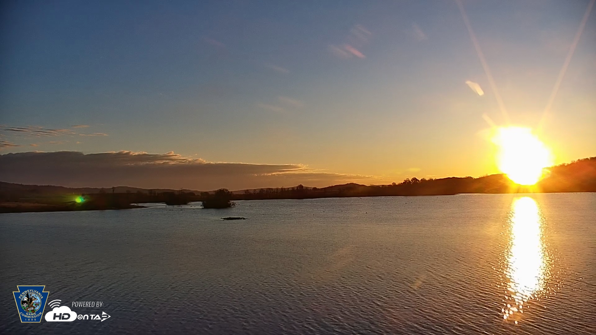 Snapshot of Pennsylvania Snow Geese Live Webcam taken Nov 13, 2025, 7:06am EST