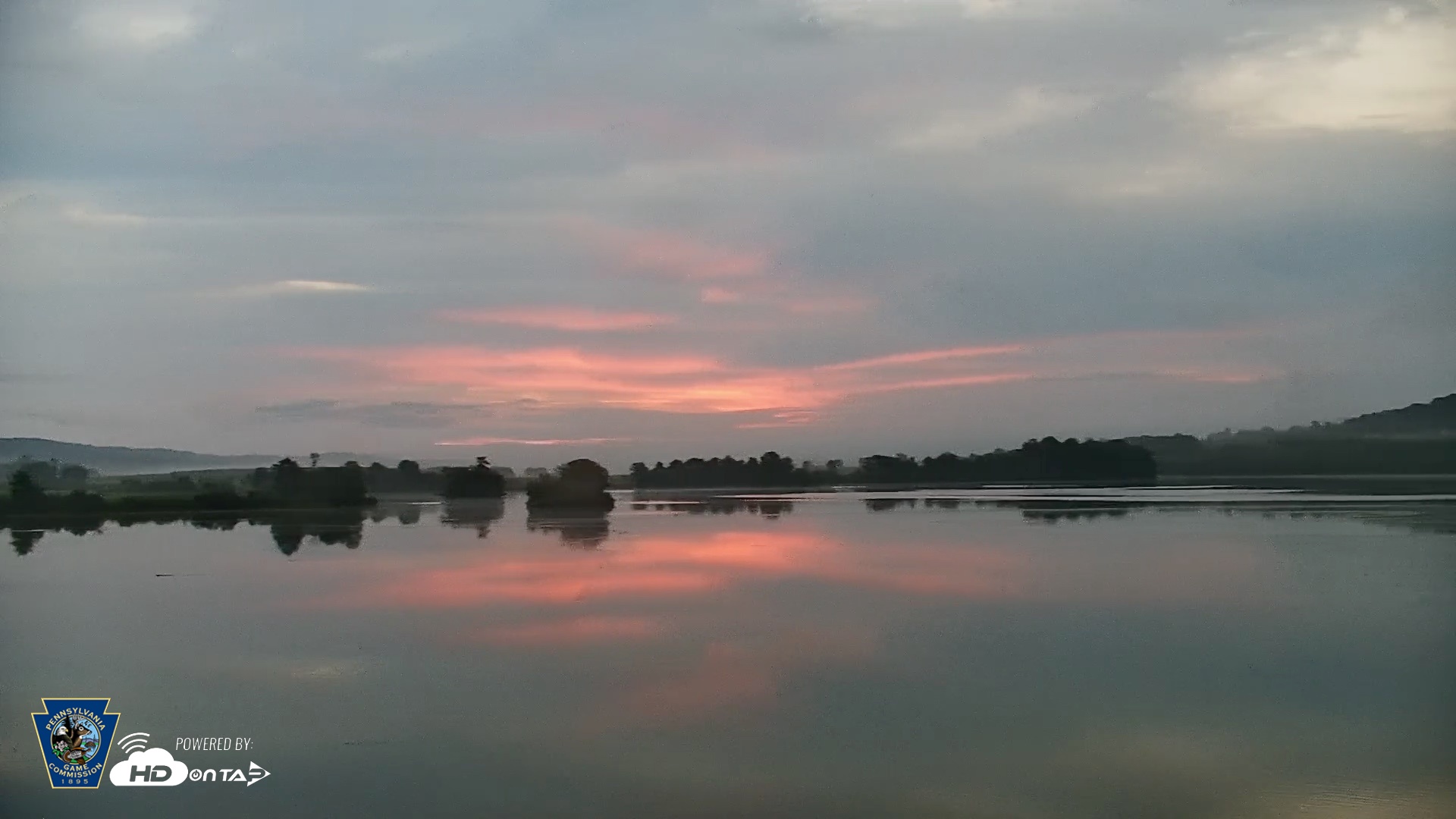 Snapshot of Pennsylvania Snow Geese Live Webcam taken Aug 28, 2026, 6:26am EDT