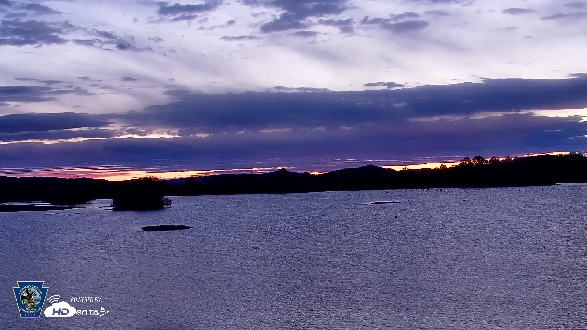 Snapshot of Pennsylvania Snow Geese Live Webcam taken Oct 23, 2025, 7:07am EDT