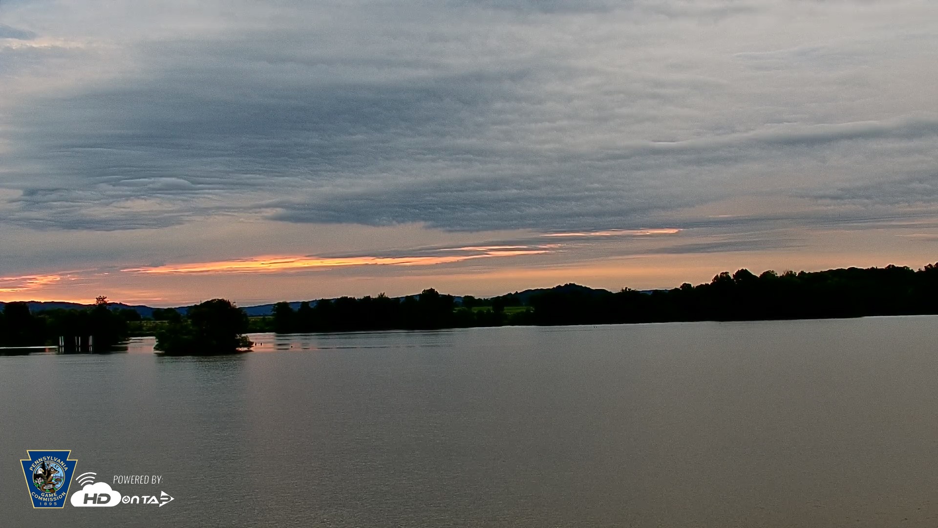 Snapshot of Pennsylvania Snow Geese Live Webcam taken May 21, 2026, 6:07am EDT