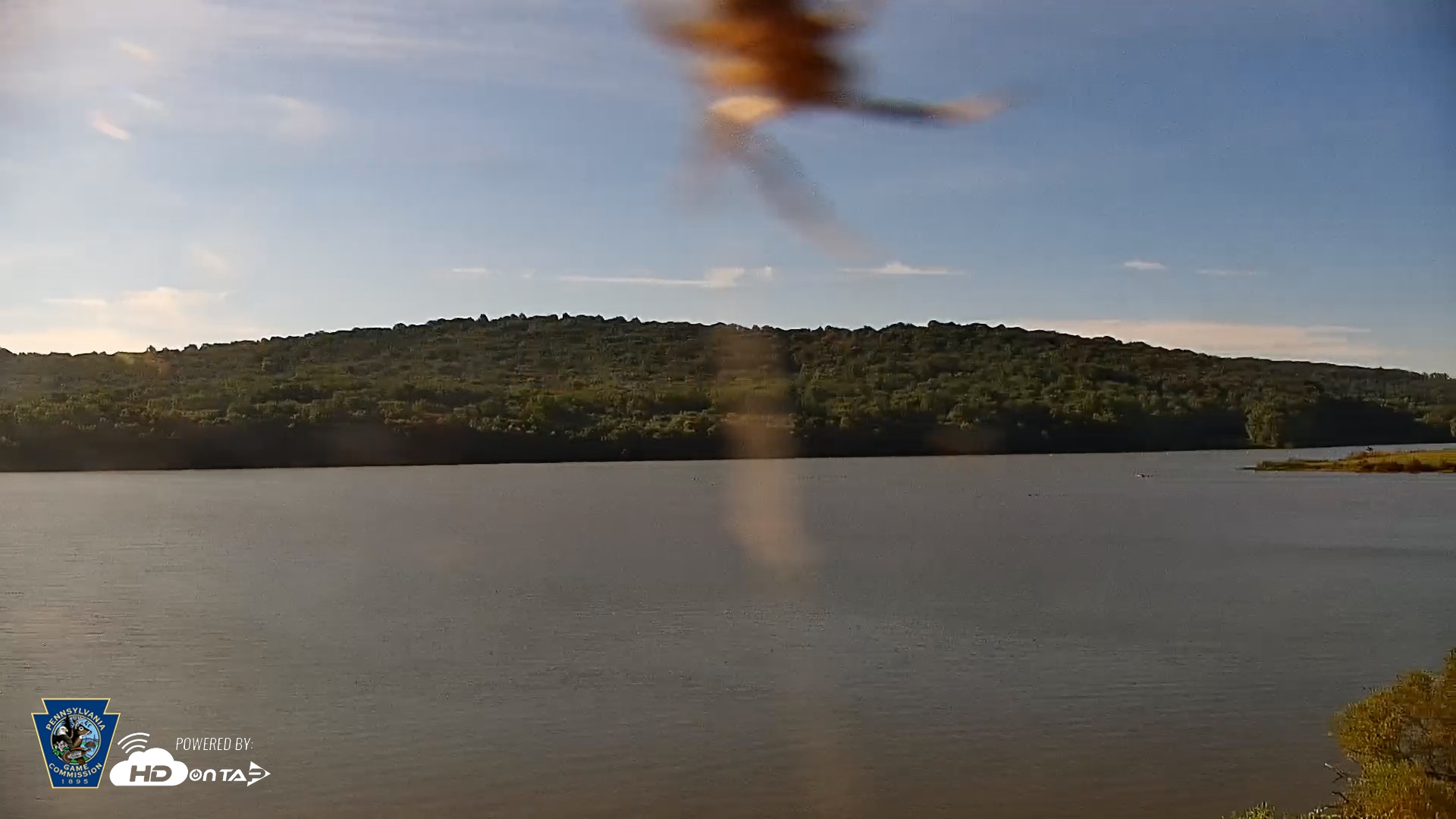 Snapshot of Pennsylvania Snow Geese Live Webcam taken Sep 4, 2026, 8:49am EDT