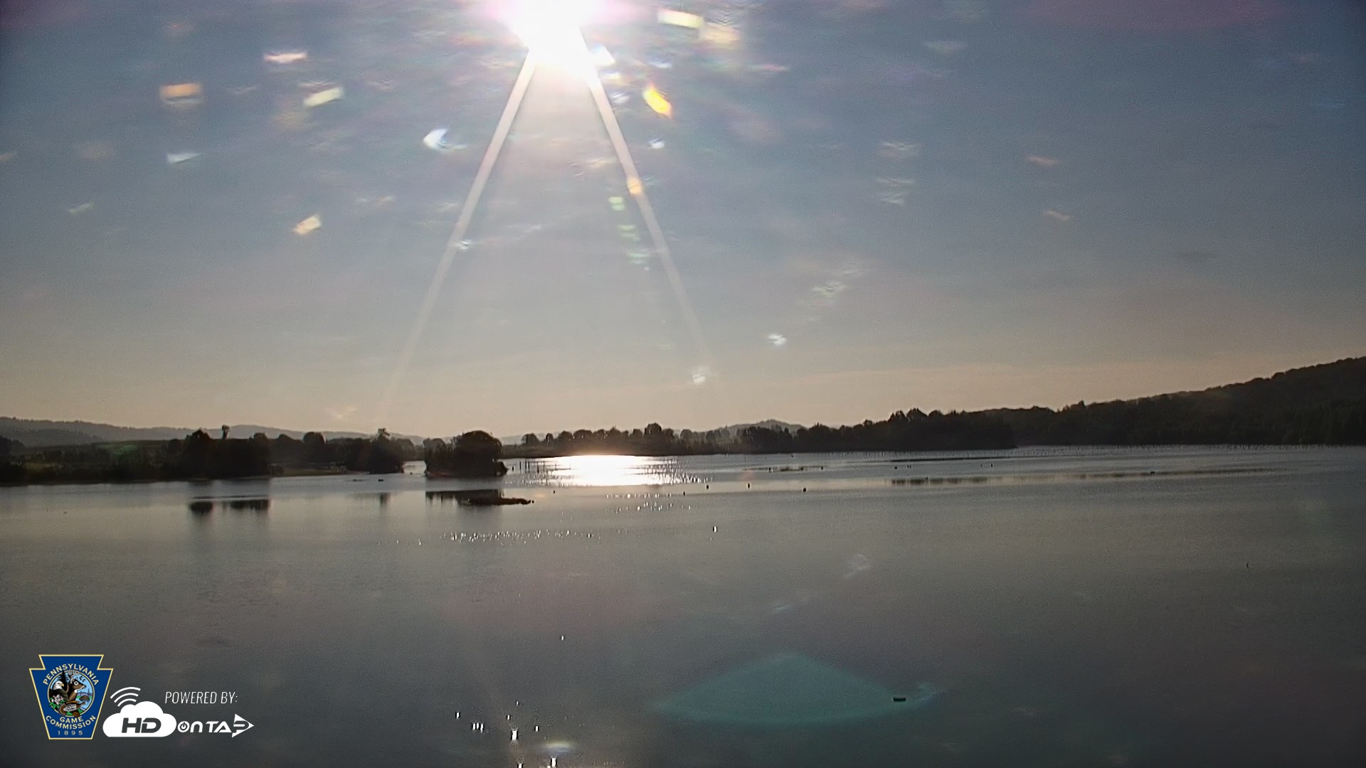 Snapshot of Pennsylvania Snow Geese Live Webcam taken Aug 21, 2026, 8:07am EDT
