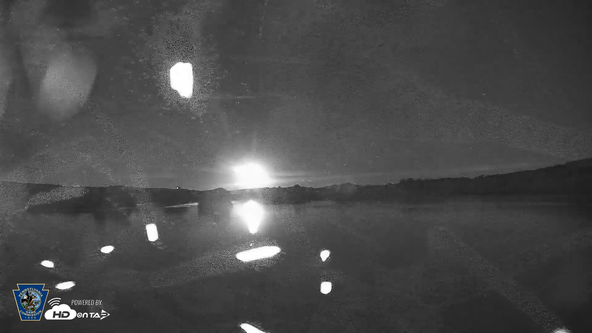 Snapshot of Pennsylvania Snow Geese Live Webcam taken Aug 29, 2026, 8:31pm EDT