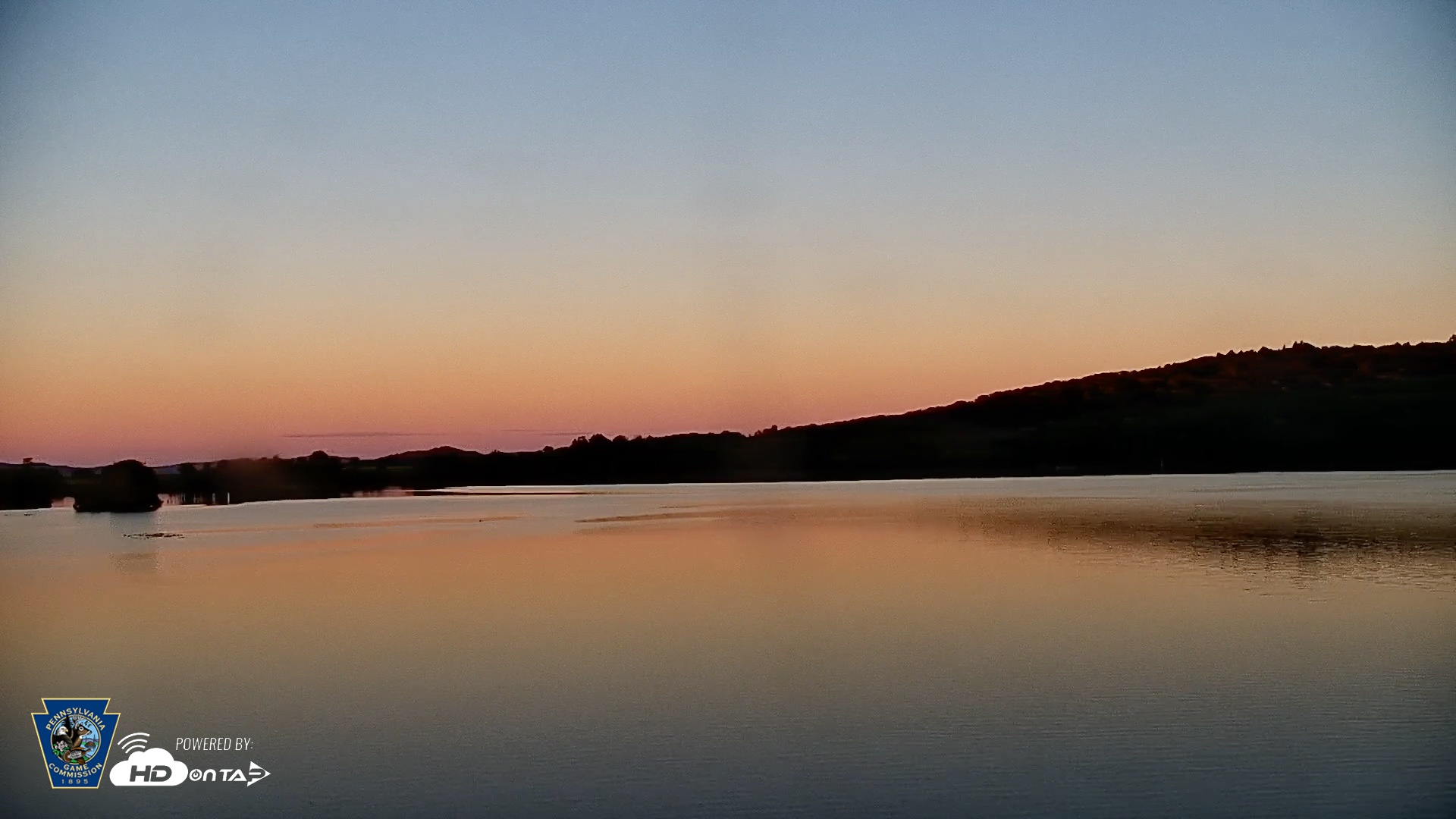 Snapshot of Pennsylvania Snow Geese Live Webcam taken Sep 5, 2026, 7:24pm EDT