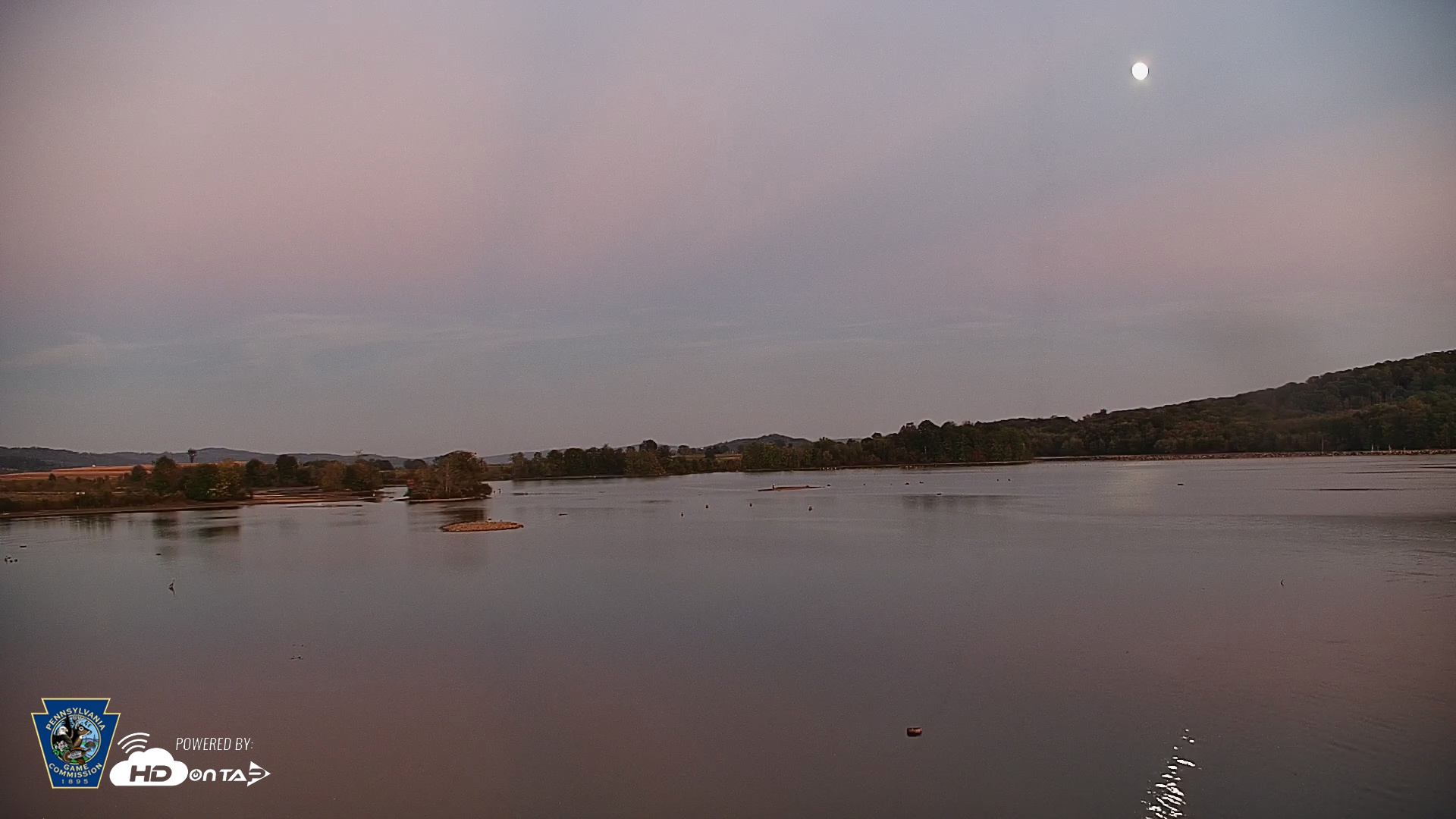 Snapshot of Pennsylvania Snow Geese Live Webcam taken Oct 4, 2025, 6:56pm EDT