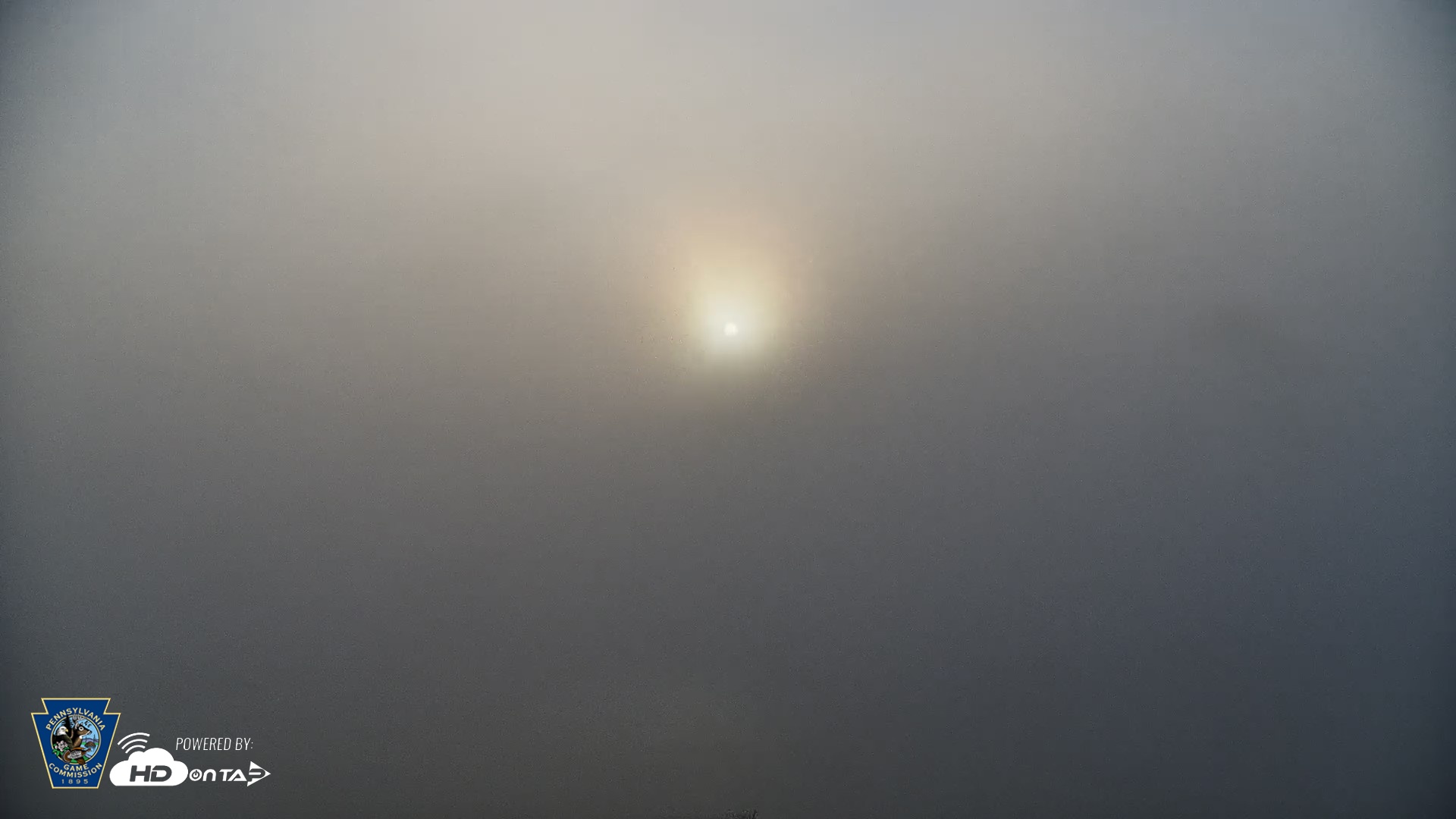 Snapshot of Pennsylvania Snow Geese Live Webcam taken Apr 27, 2026, 6:51am EDT