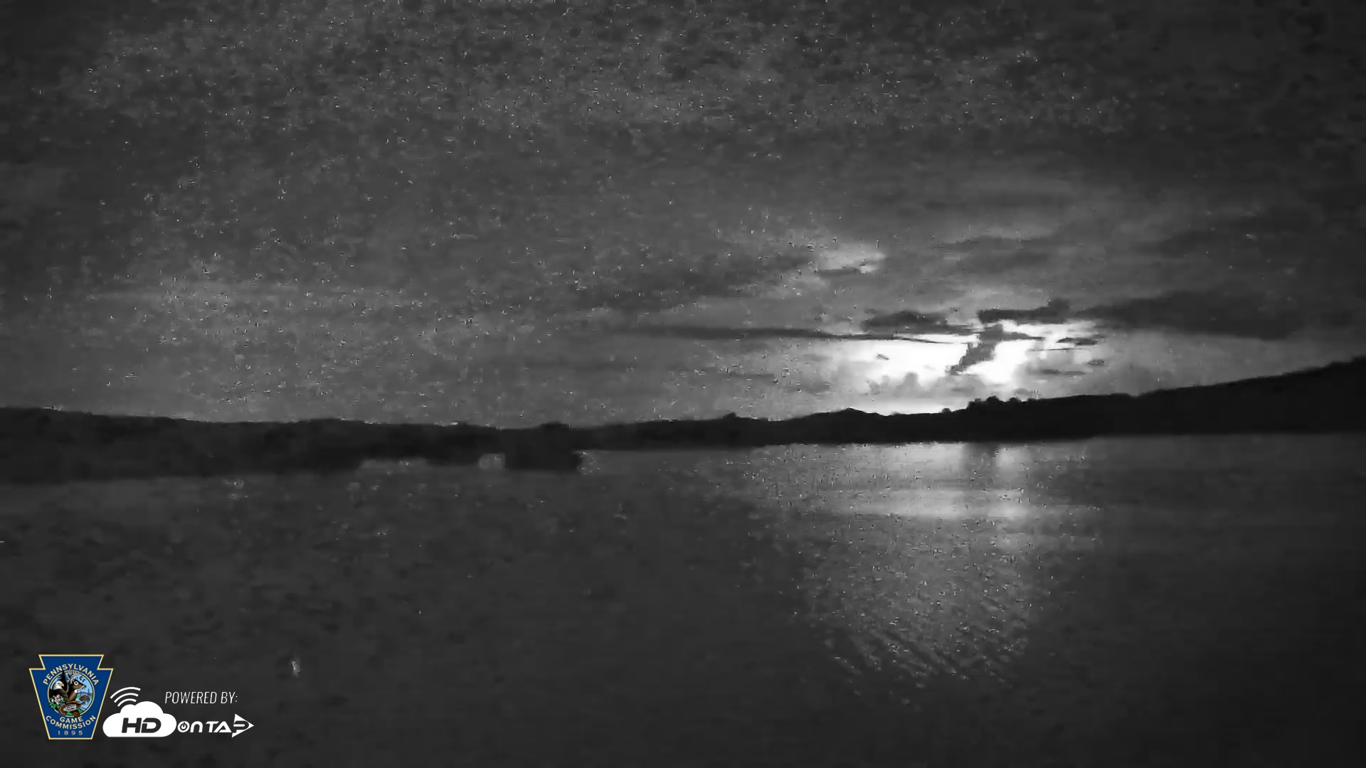 Snapshot of Pennsylvania Snow Geese Live Webcam taken Jun 11, 2026, 10:13pm EDT