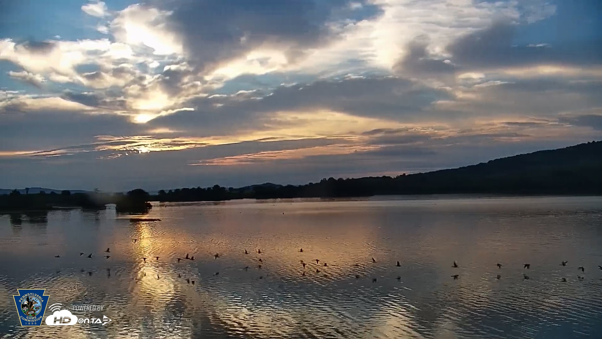 Snapshot of Pennsylvania Snow Geese Live Webcam taken Sep 10, 2026, 7:06am EDT