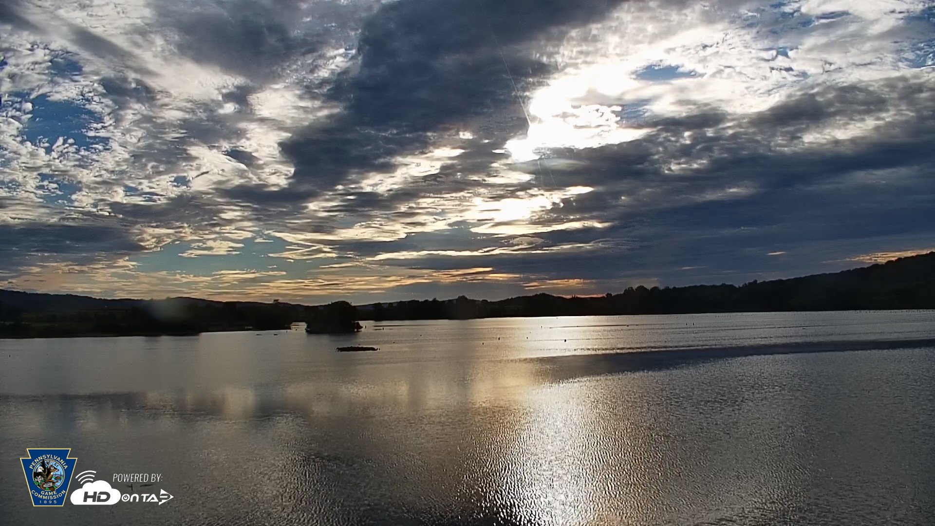 Snapshot of Pennsylvania Snow Geese Live Webcam taken Sep 21, 2026, 7:53am EDT