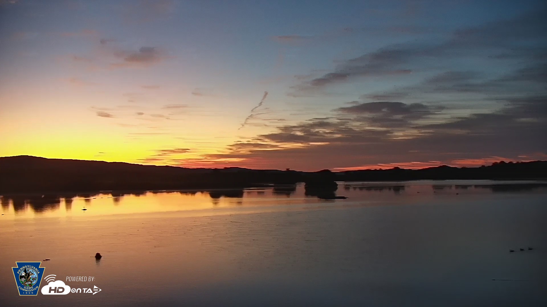 Snapshot of Pennsylvania Snow Geese Live Webcam taken Aug 4, 2026, 5:37am EDT