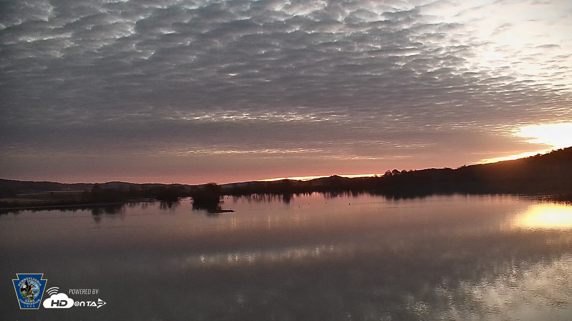 Snapshot of Pennsylvania Snow Geese Live Webcam taken Nov 5, 2025, 6:10am EST