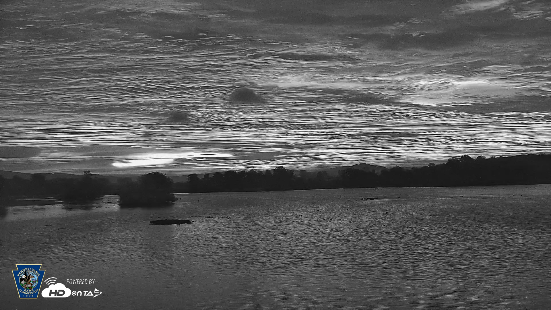 Snapshot of Pennsylvania Snow Geese Live Webcam taken Oct 1, 2026, 6:35am EDT