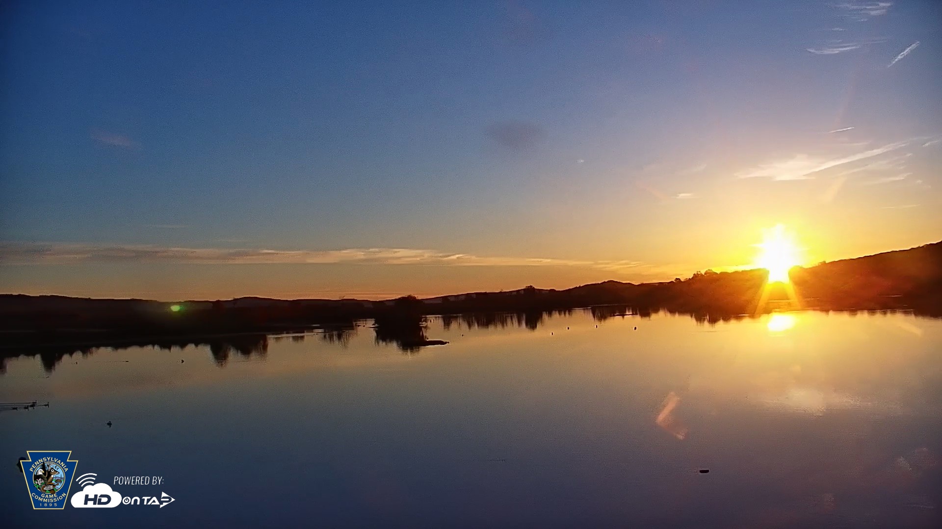 Snapshot of Pennsylvania Snow Geese Live Webcam taken Oct 31, 2026, 7:43am EDT