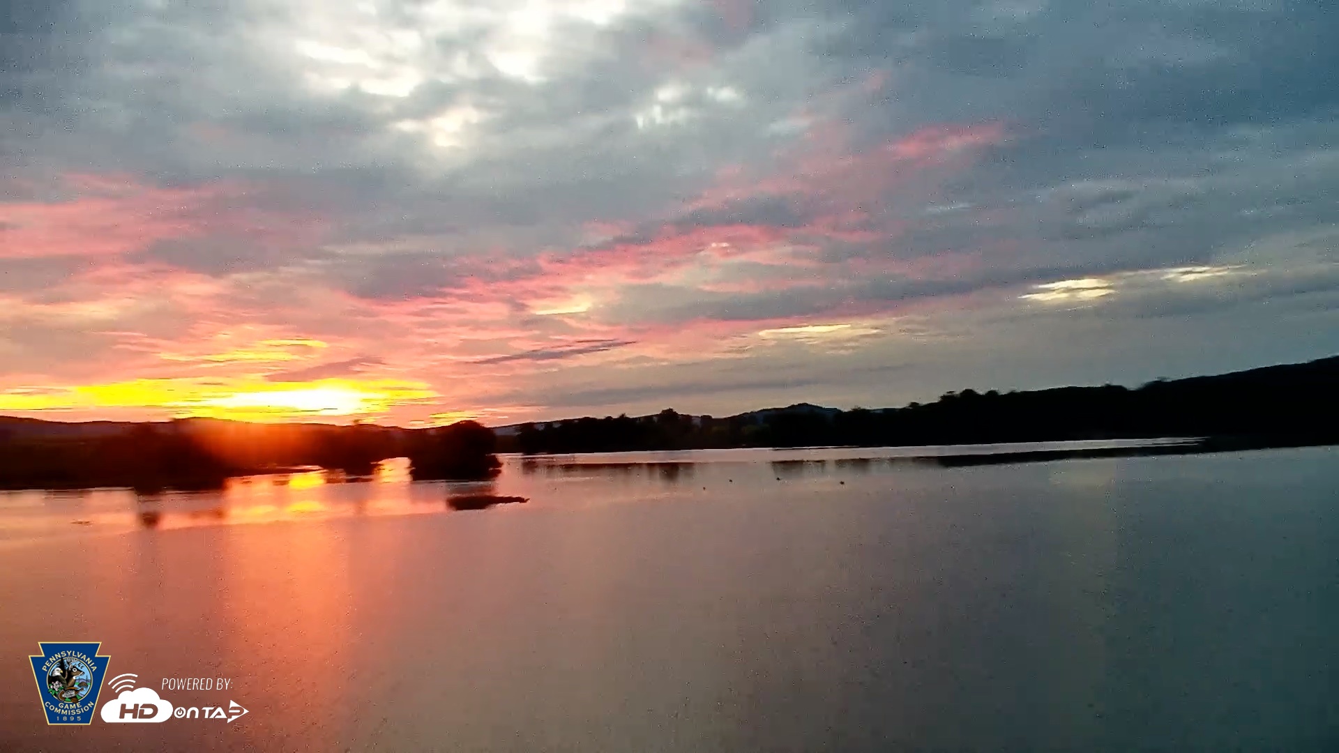 Snapshot of Pennsylvania Snow Geese Live Webcam taken Sep 11, 2026, 6:34am EDT
