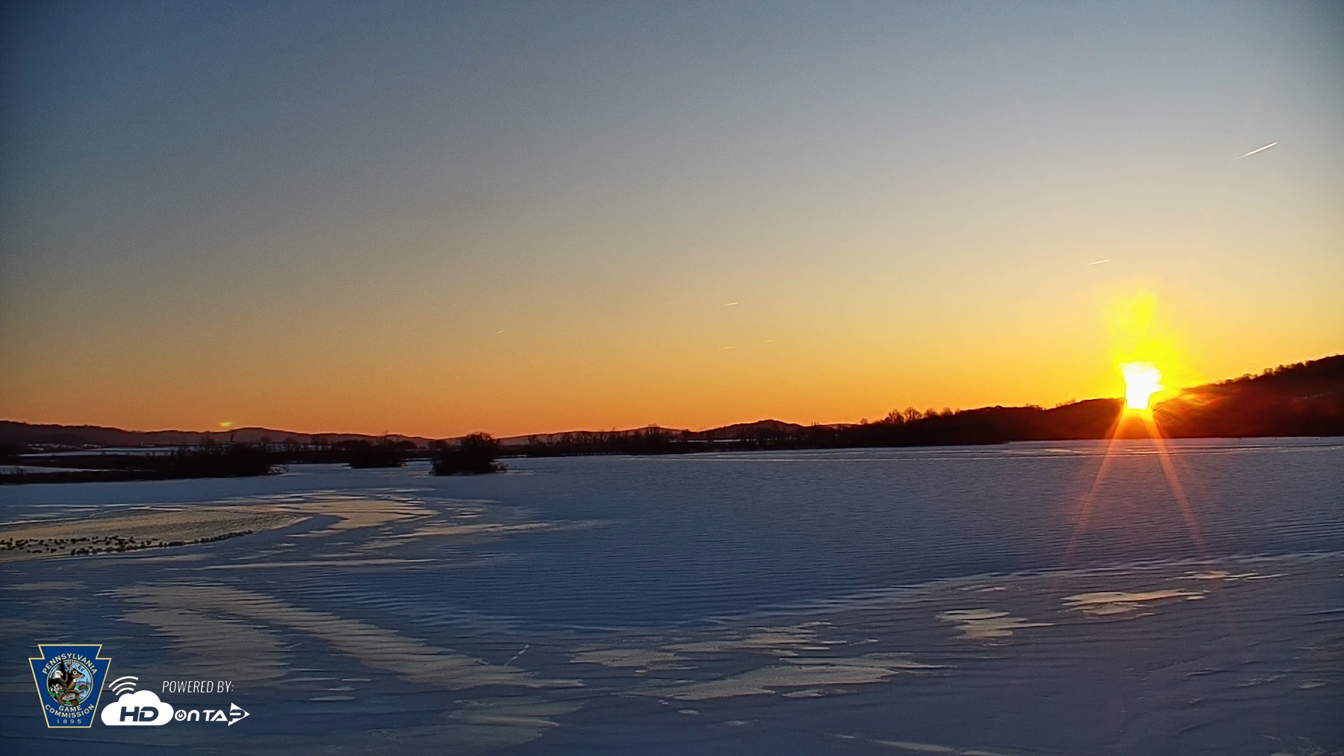 Snapshot of Pennsylvania Snow Geese Live Webcam taken Jan 28, 2026, 7:28am EST