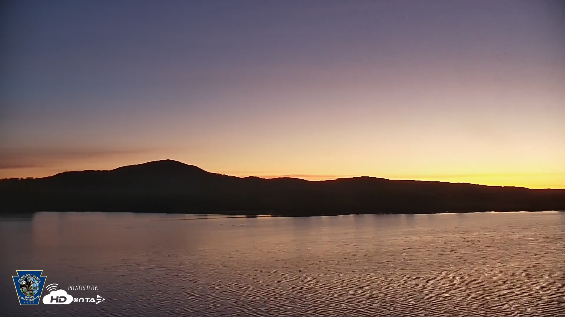 Snapshot of Pennsylvania Snow Geese Live Webcam taken Apr 28, 2026, 5:47am EDT