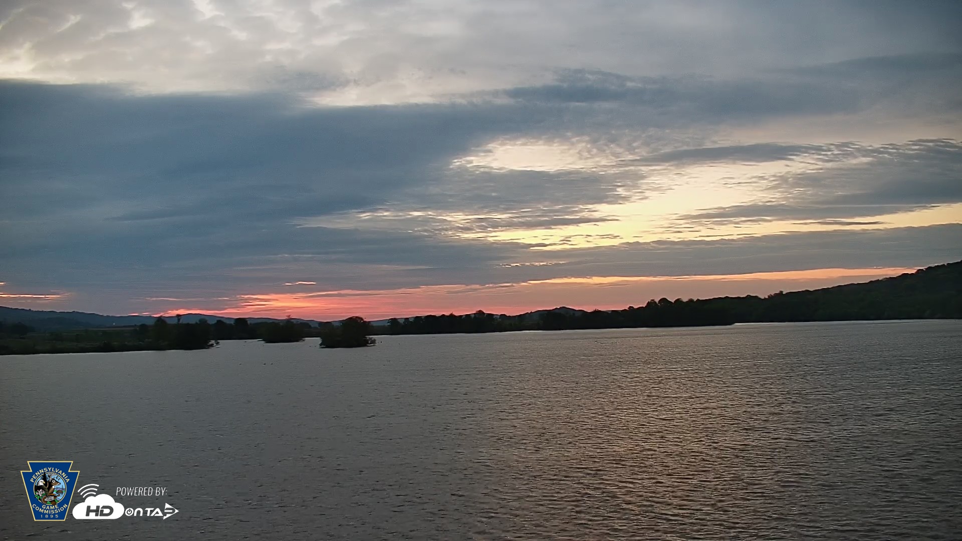 Snapshot of Pennsylvania Snow Geese Live Webcam taken May 6, 2026, 5:42am EDT