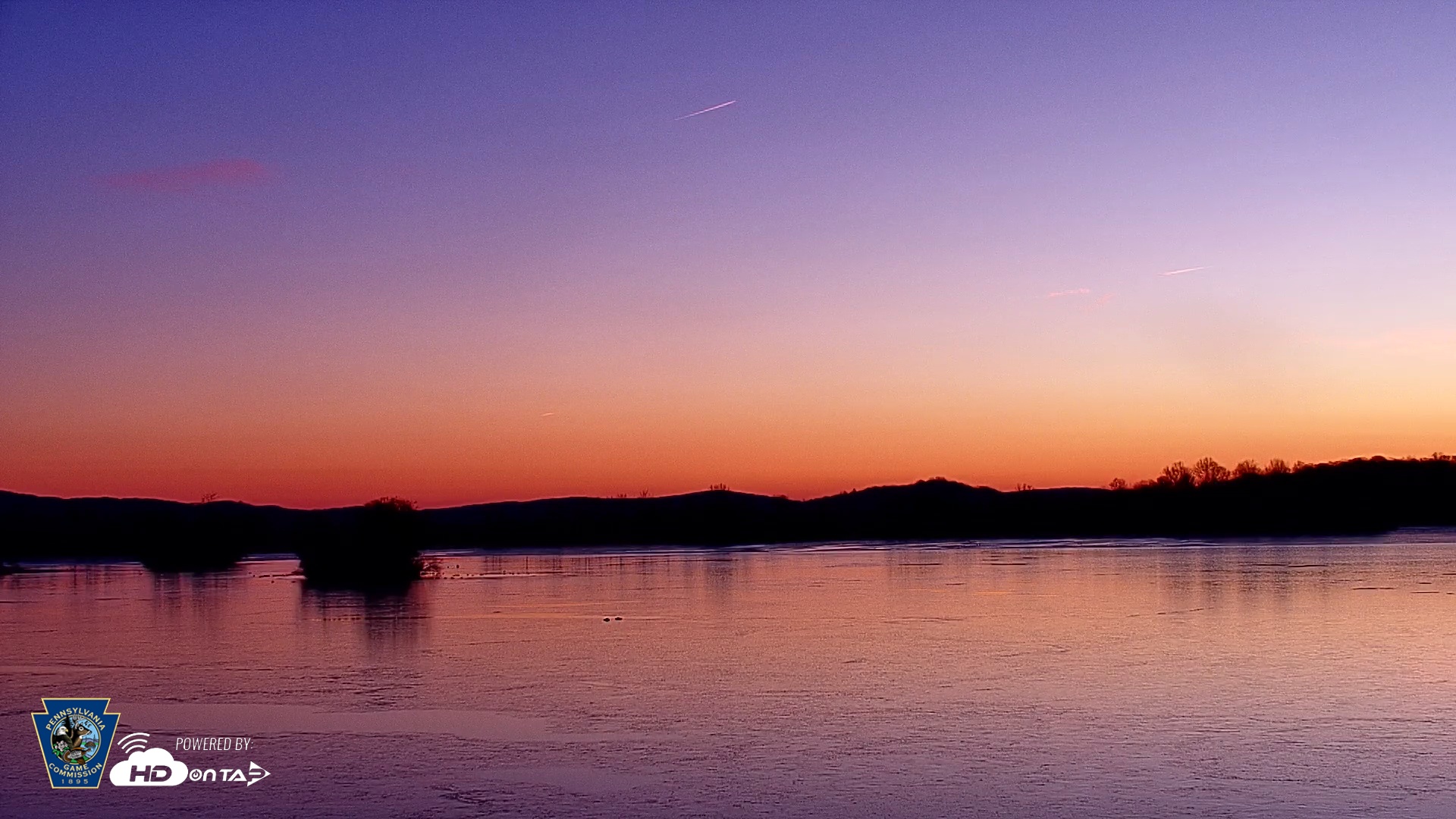 Snapshot of Pennsylvania Snow Geese Live Webcam taken Jan 13, 2026, 7:11am EST