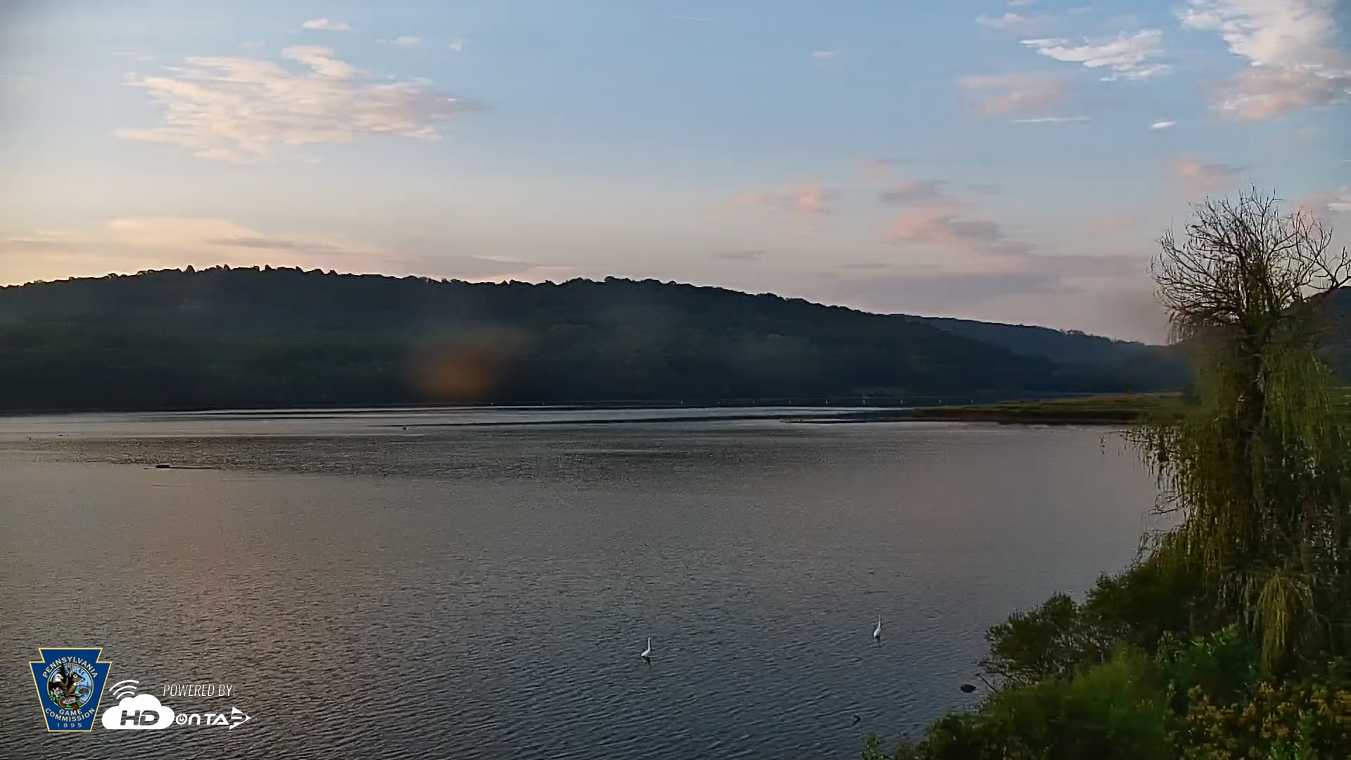 Snapshot of Pennsylvania Snow Geese Live Webcam taken Sep 23, 2025, 7:23am EDT