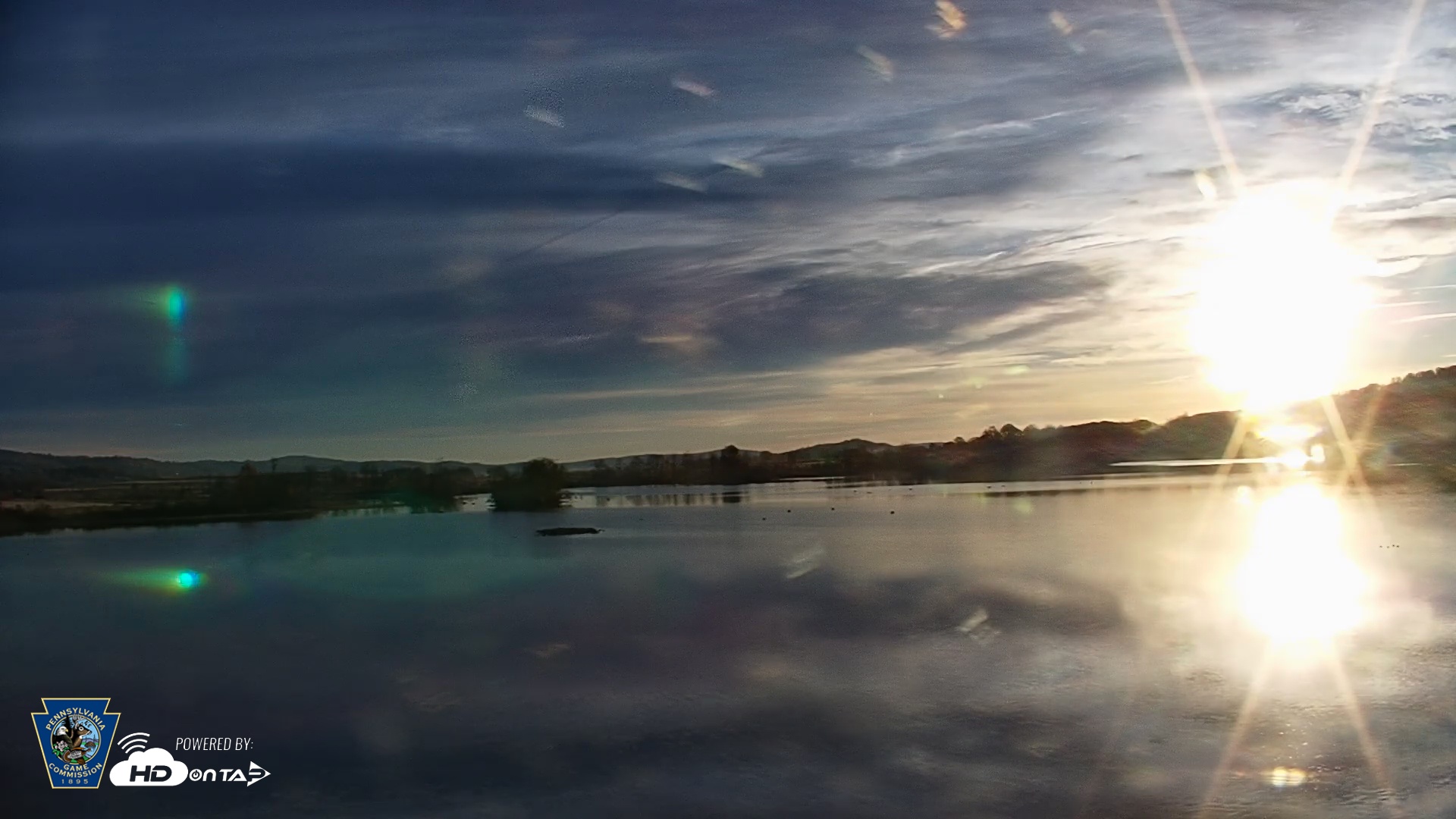 Snapshot of Pennsylvania Snow Geese Live Webcam taken Nov 7, 2025, 7:16am EST