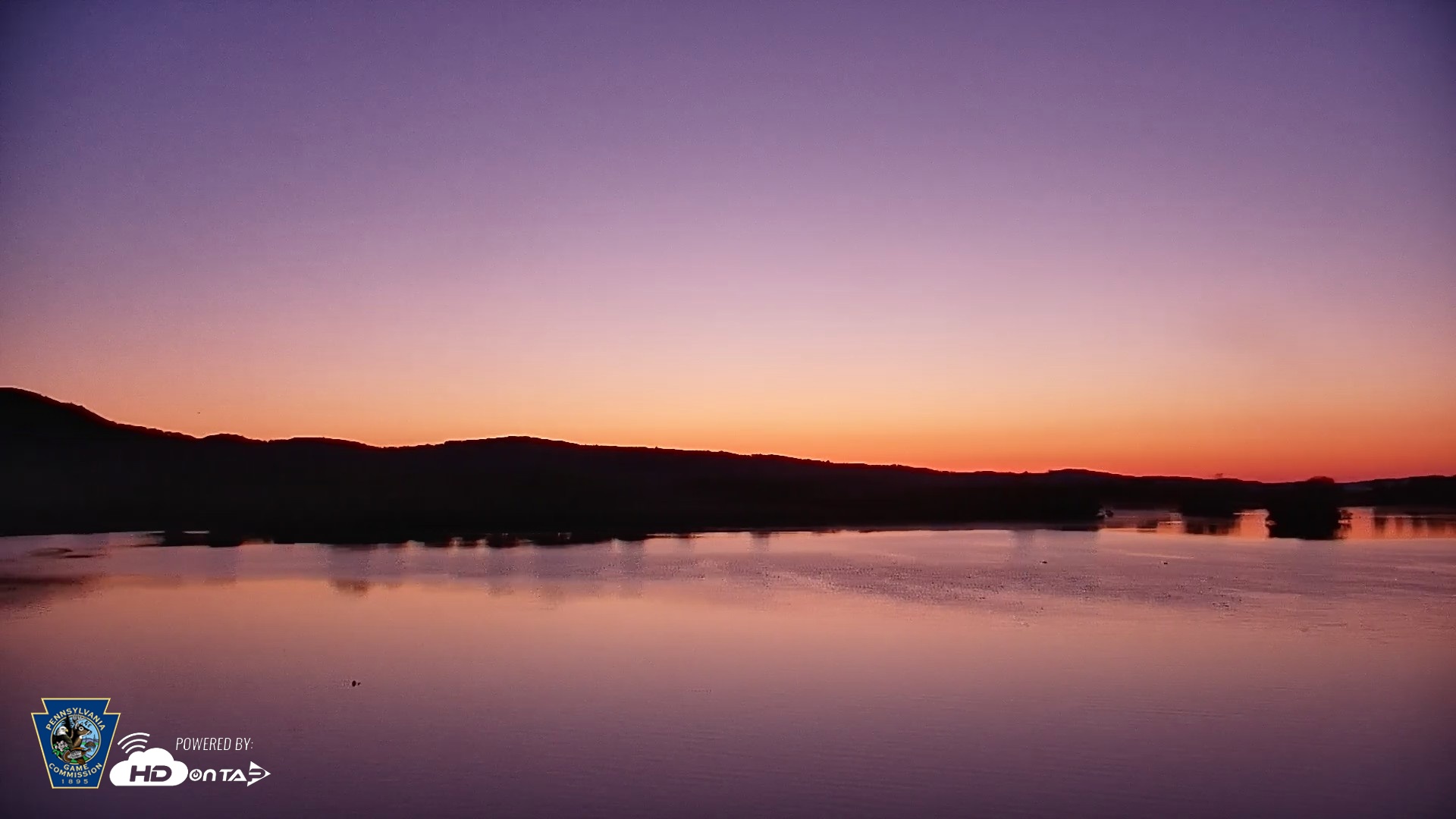Snapshot of Pennsylvania Snow Geese Live Webcam taken May 1, 2026, 5:50am EDT