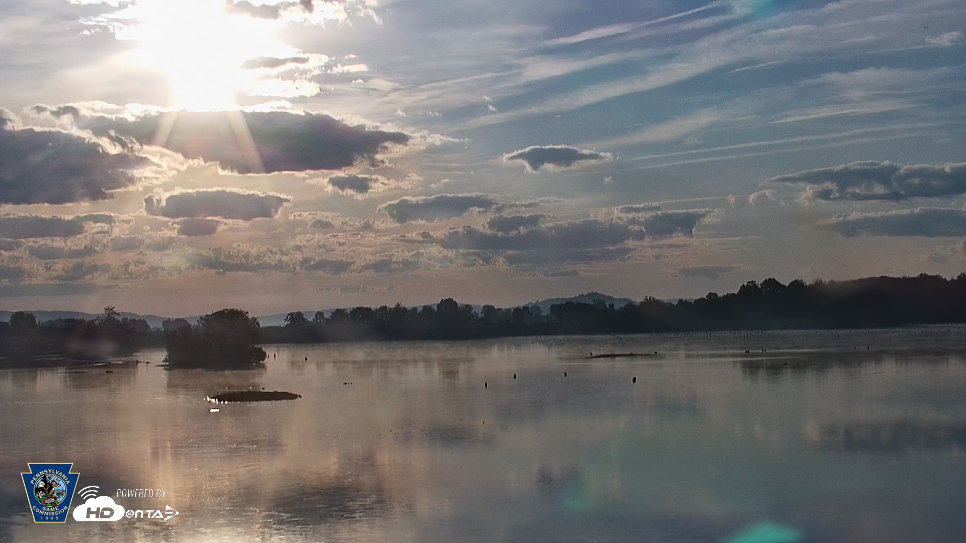 Snapshot of Pennsylvania Snow Geese Live Webcam taken Aug 28, 2025, 7:26am EDT