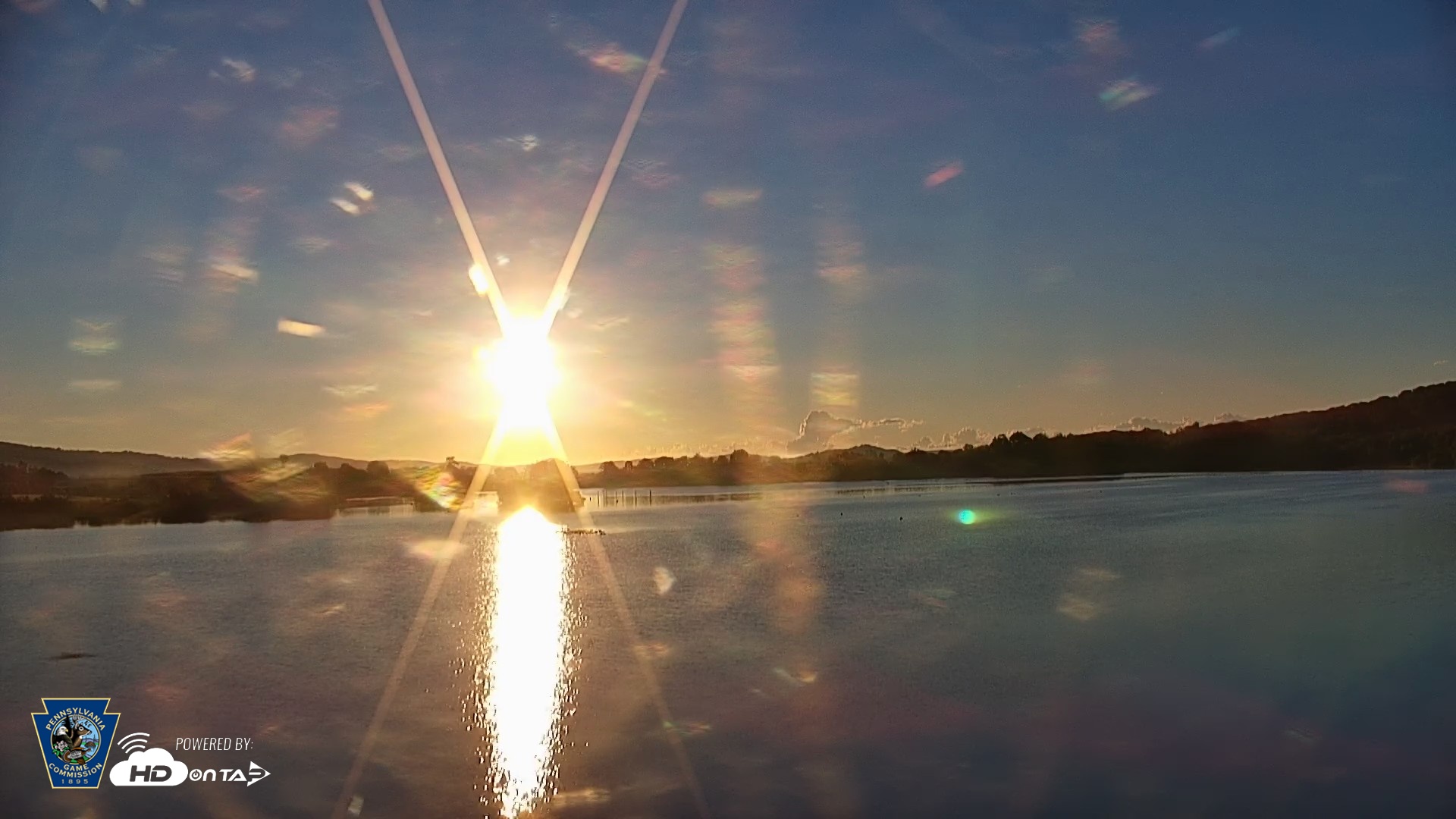 Snapshot of Pennsylvania Snow Geese Live Webcam taken Sep 7, 2026, 7:04am EDT