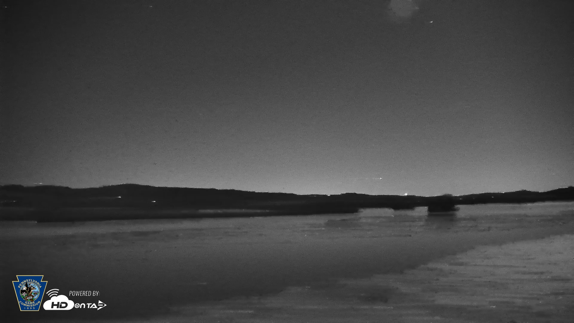 Snapshot of Pennsylvania Snow Geese Live Webcam taken Mar 1, 2026, 8:01pm EST