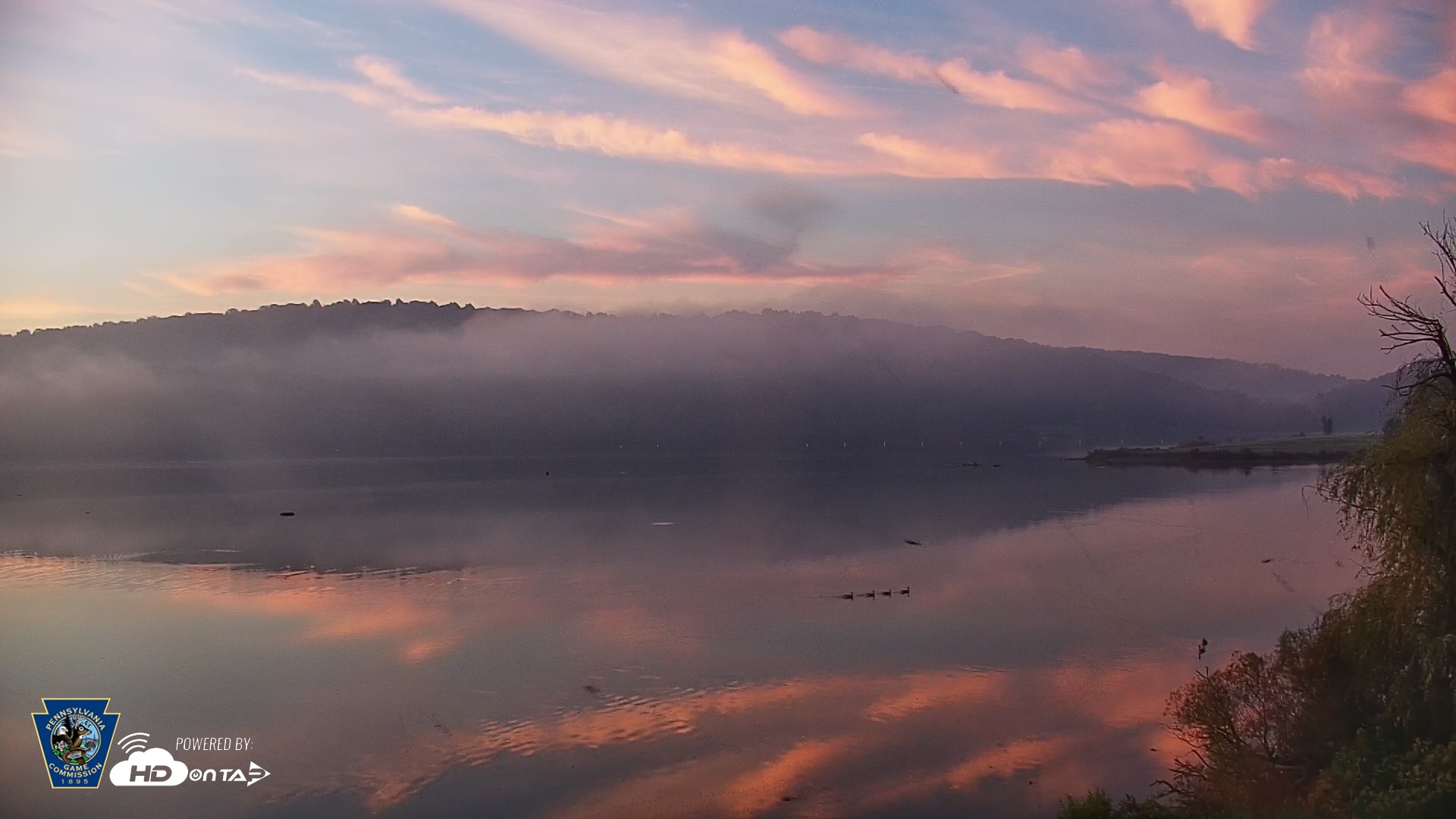 Snapshot of Pennsylvania Snow Geese Live Webcam taken Oct 2, 2026, 6:52am EDT