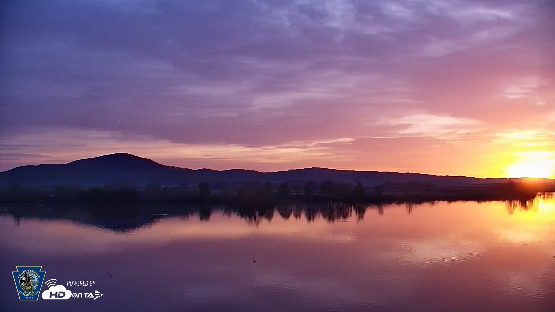 Snapshot of Pennsylvania Snow Geese Live Webcam taken Apr 16, 2026, 6:33am EDT