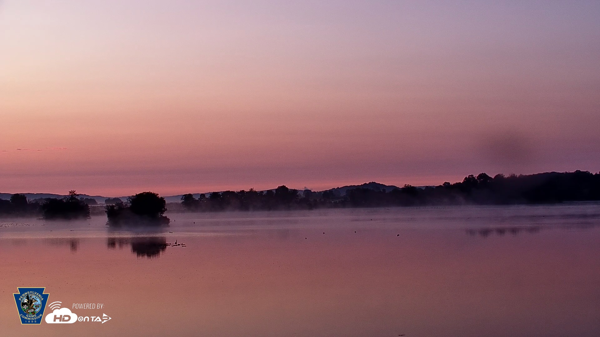 Snapshot of Pennsylvania Snow Geese Live Webcam taken Aug 8, 2025, 5:59am EDT