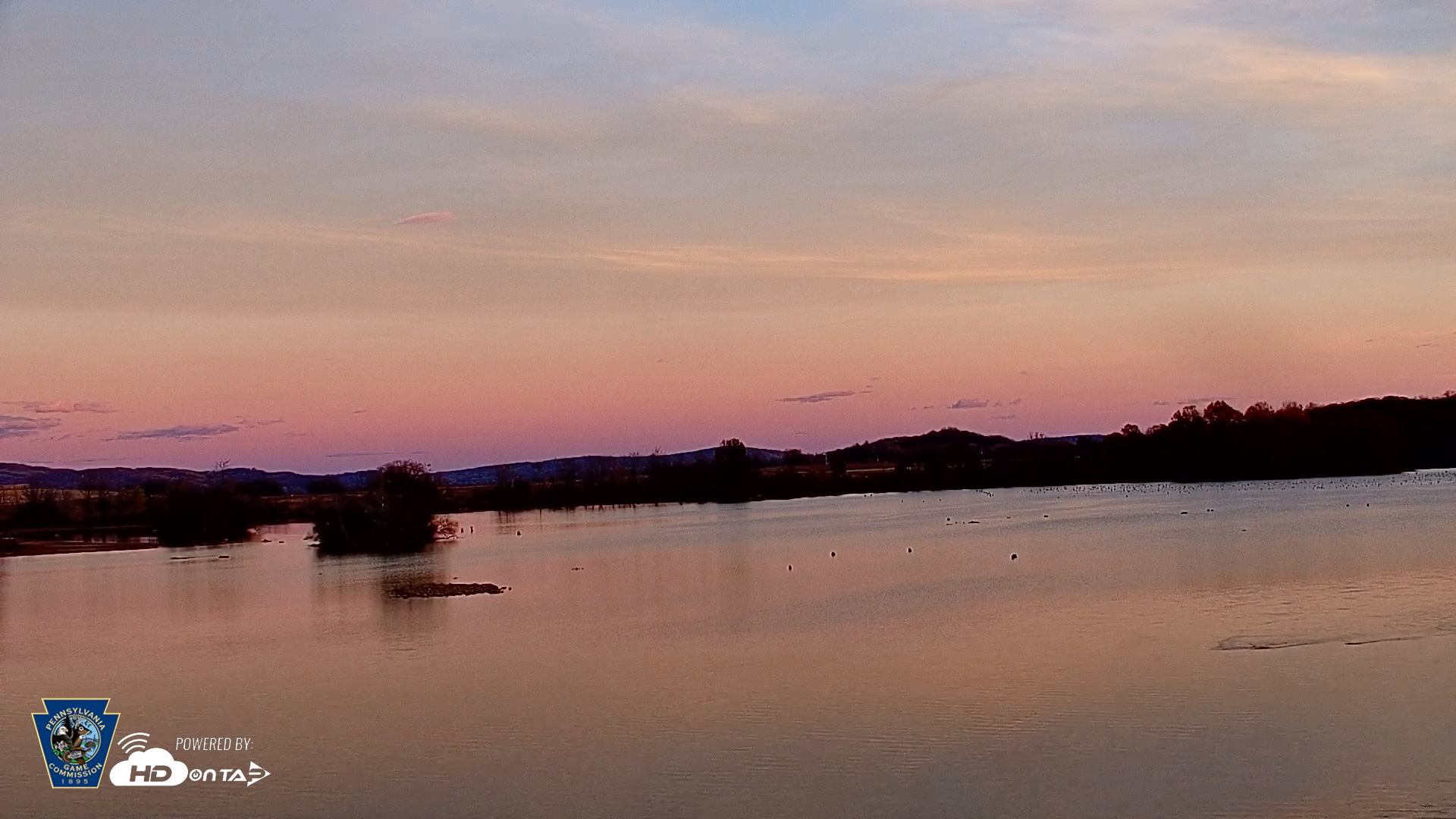 Snapshot of Pennsylvania Snow Geese Live Webcam taken Nov 6, 2025, 4:53pm EST