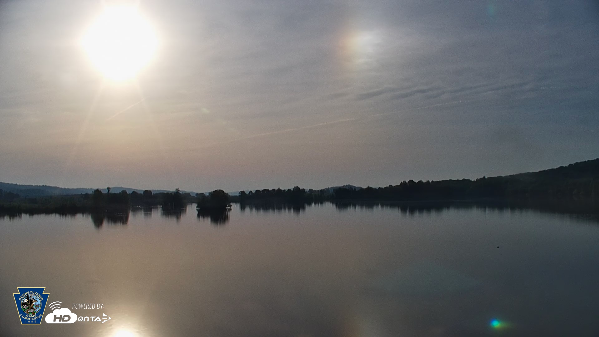 Snapshot of Pennsylvania Snow Geese Live Webcam taken May 17, 2026, 7:13am EDT