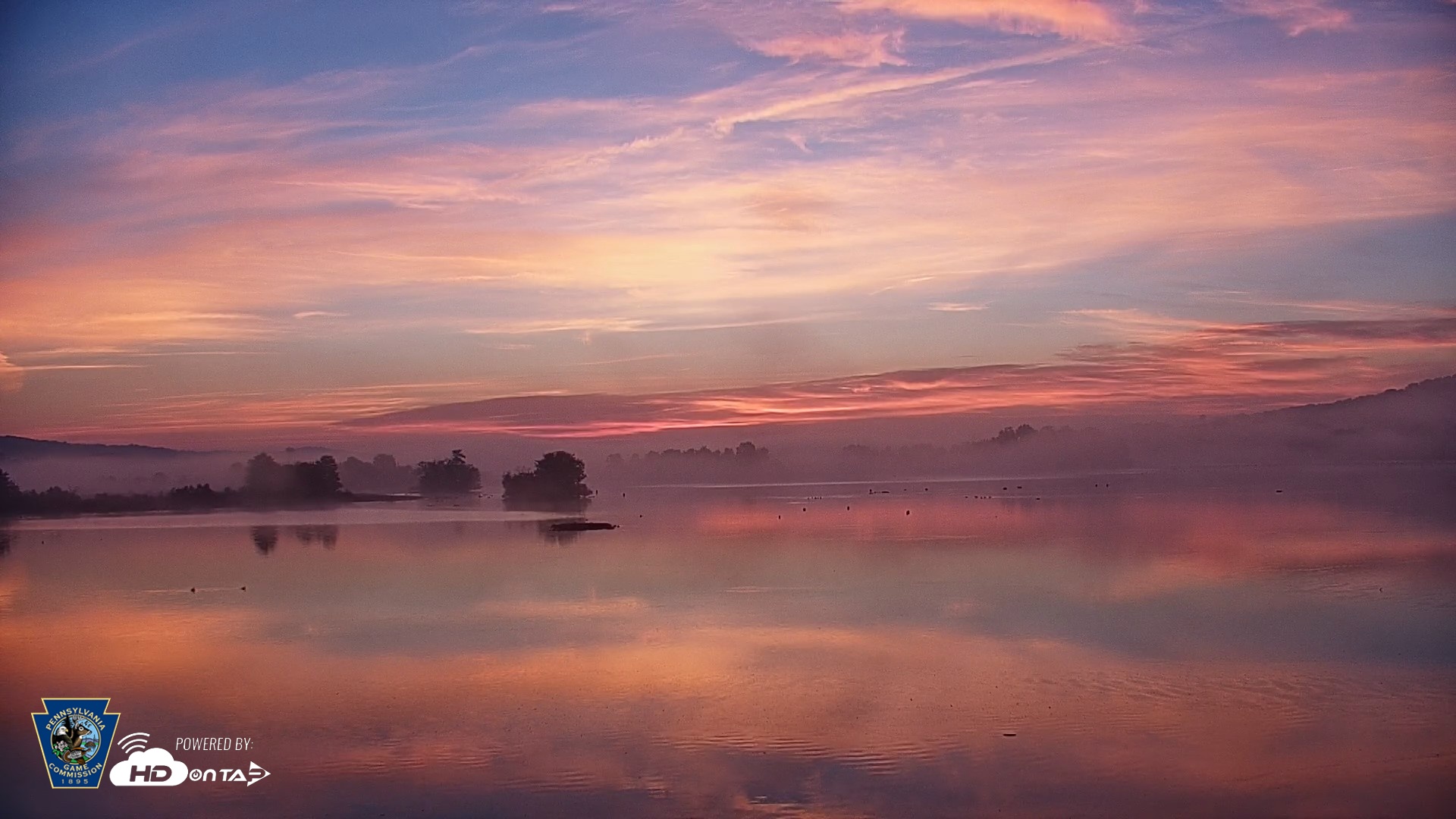Snapshot of Pennsylvania Snow Geese Live Webcam taken Oct 2, 2026, 6:52am EDT