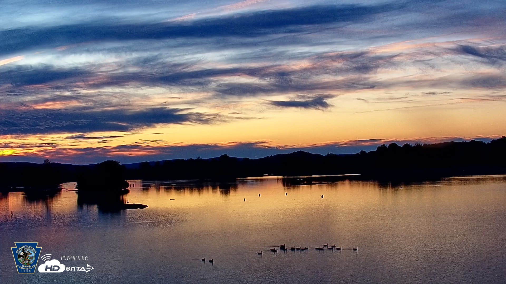 Snapshot of Pennsylvania Snow Geese Live Webcam taken Sep 1, 2025, 6:32am EDT