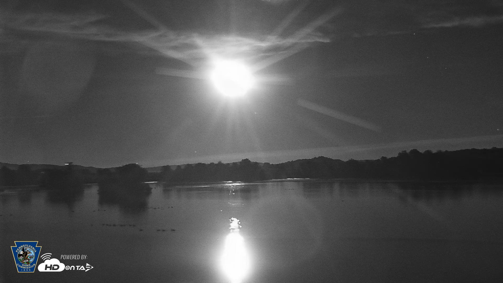 Snapshot of Pennsylvania Snow Geese Live Webcam taken Aug 29, 2026, 8:54pm EDT