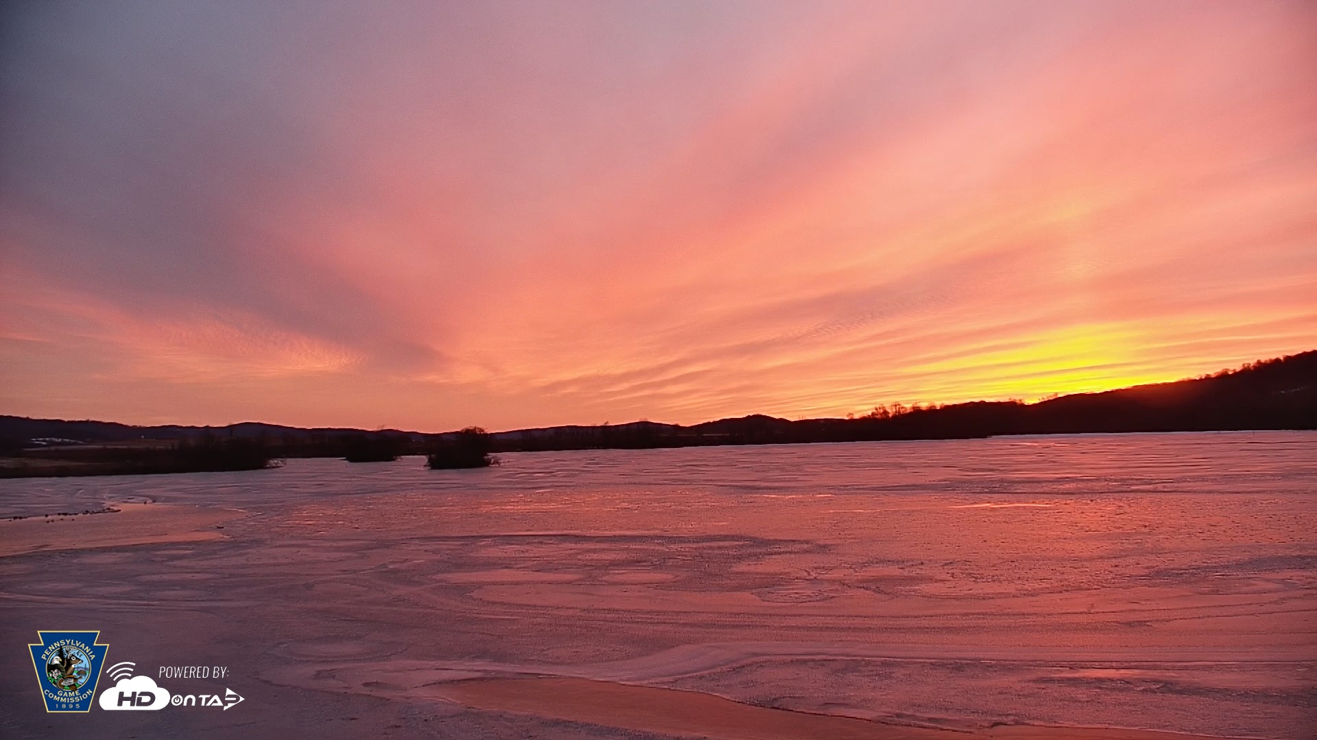 Snapshot of Pennsylvania Snow Geese Live Webcam taken Jan 24, 2026, 7:14am EST