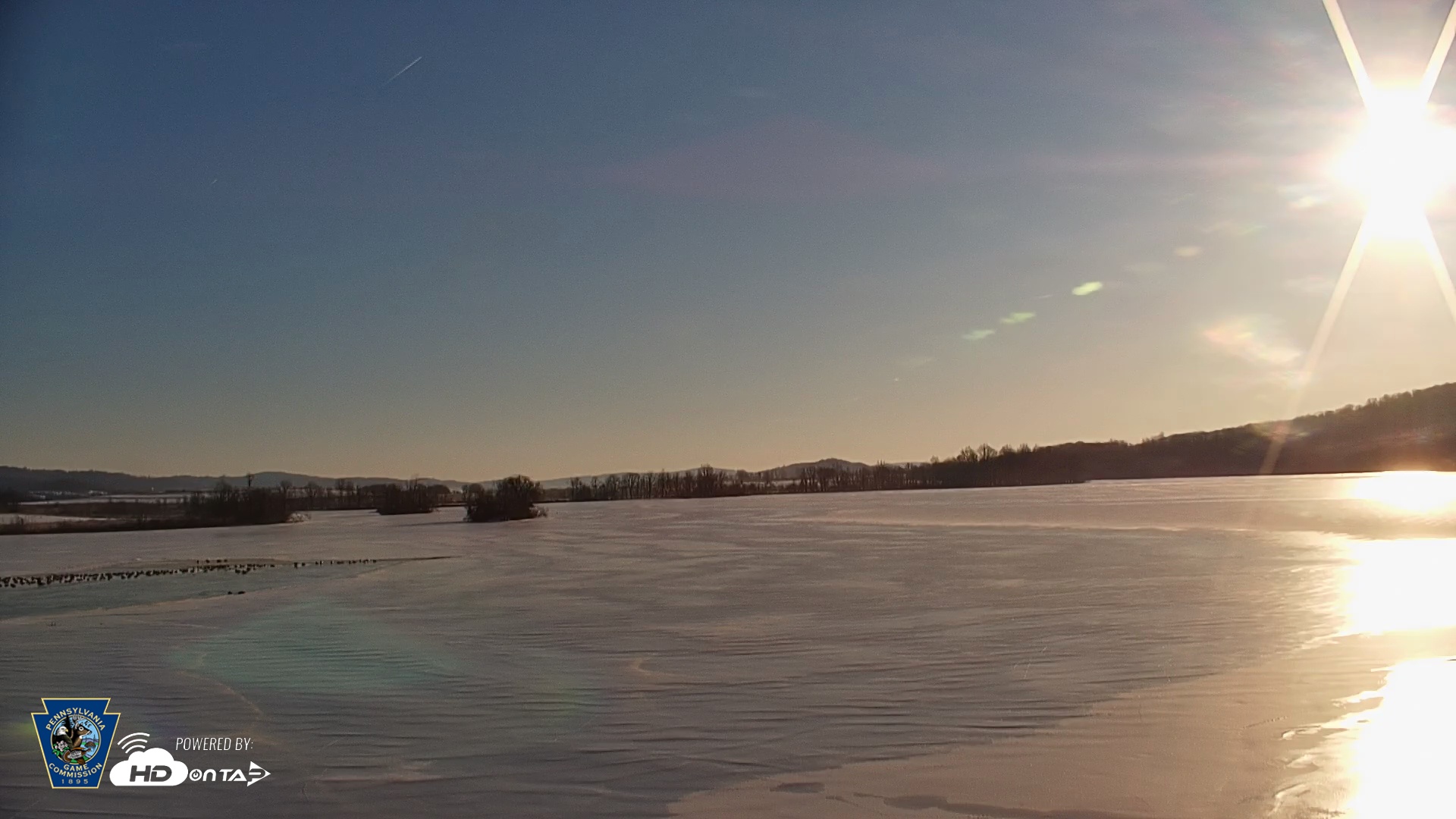 Snapshot of Pennsylvania Snow Geese Live Webcam taken Feb 5, 2026, 8:21am EST