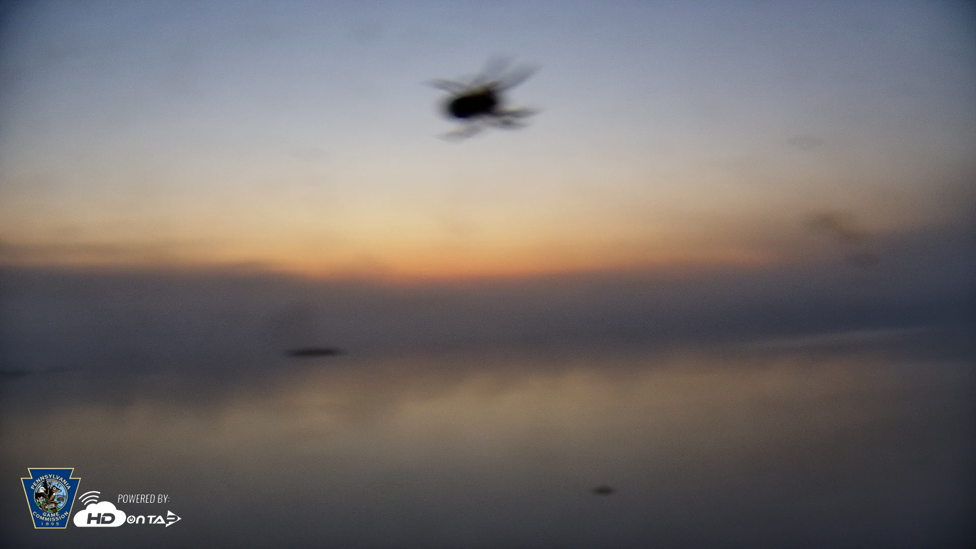 Snapshot of Pennsylvania Snow Geese Live Webcam taken Oct 5, 2025, 7:01am EDT