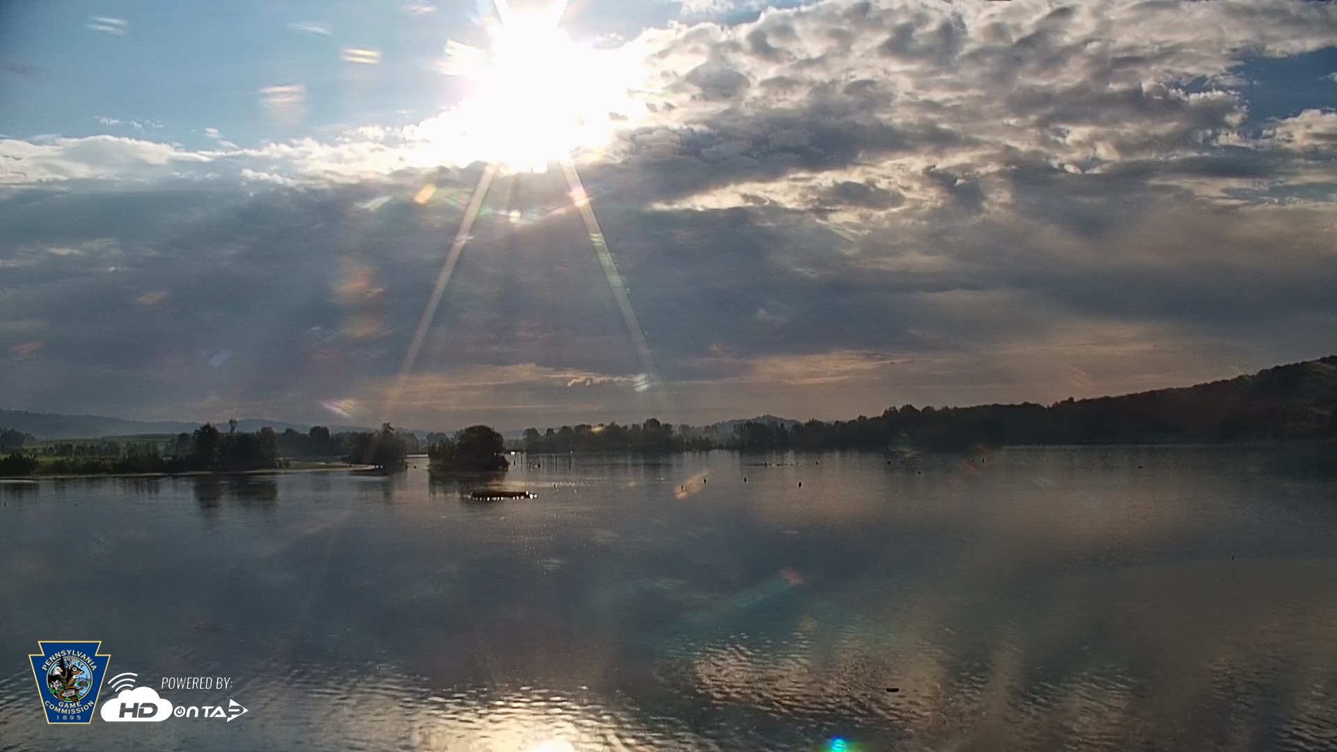 Snapshot of Pennsylvania Snow Geese Live Webcam taken Aug 24, 2026, 7:53am EDT