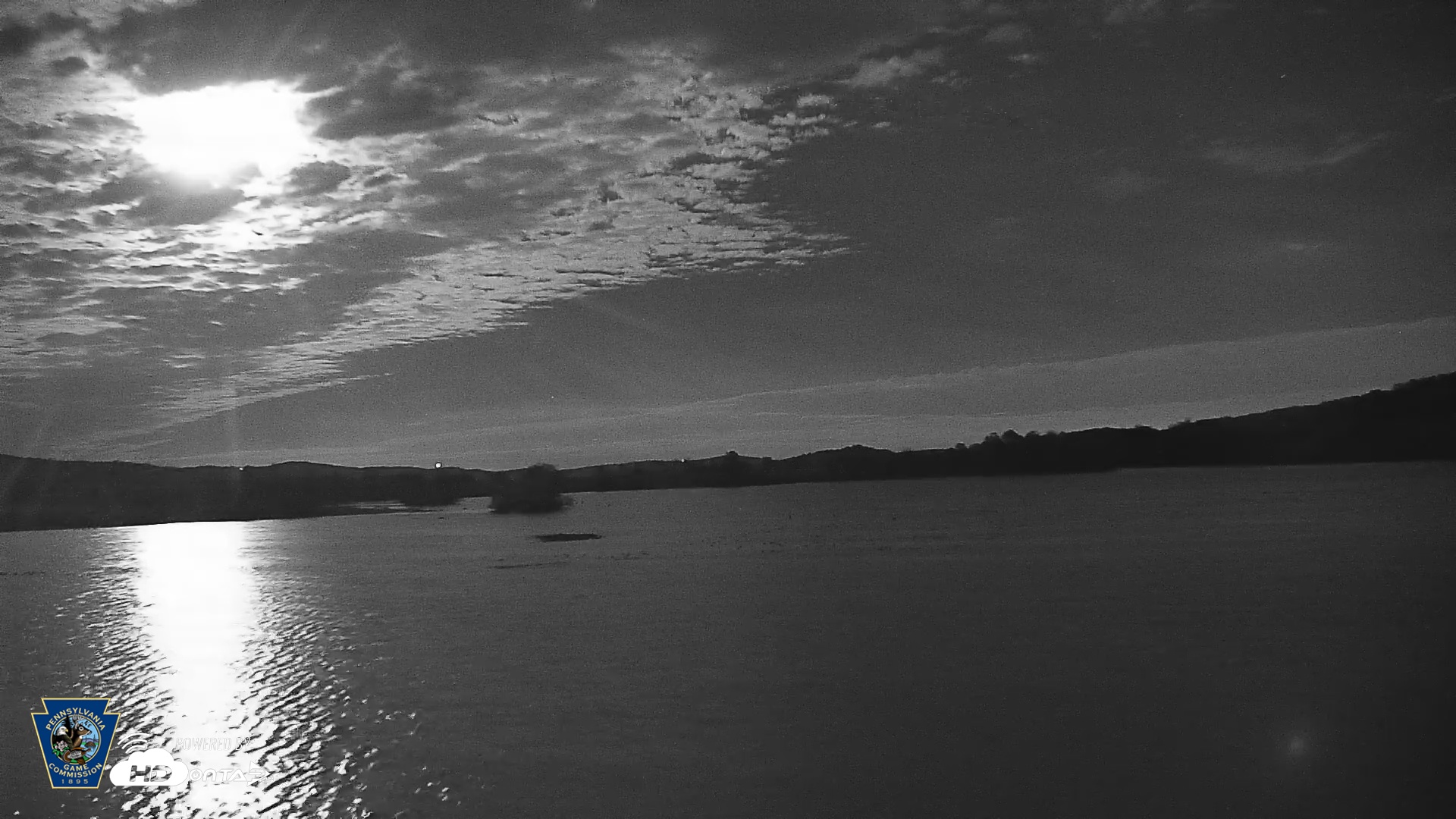 Snapshot of Pennsylvania Snow Geese Live Webcam taken Nov 5, 2025, 6:09pm EST