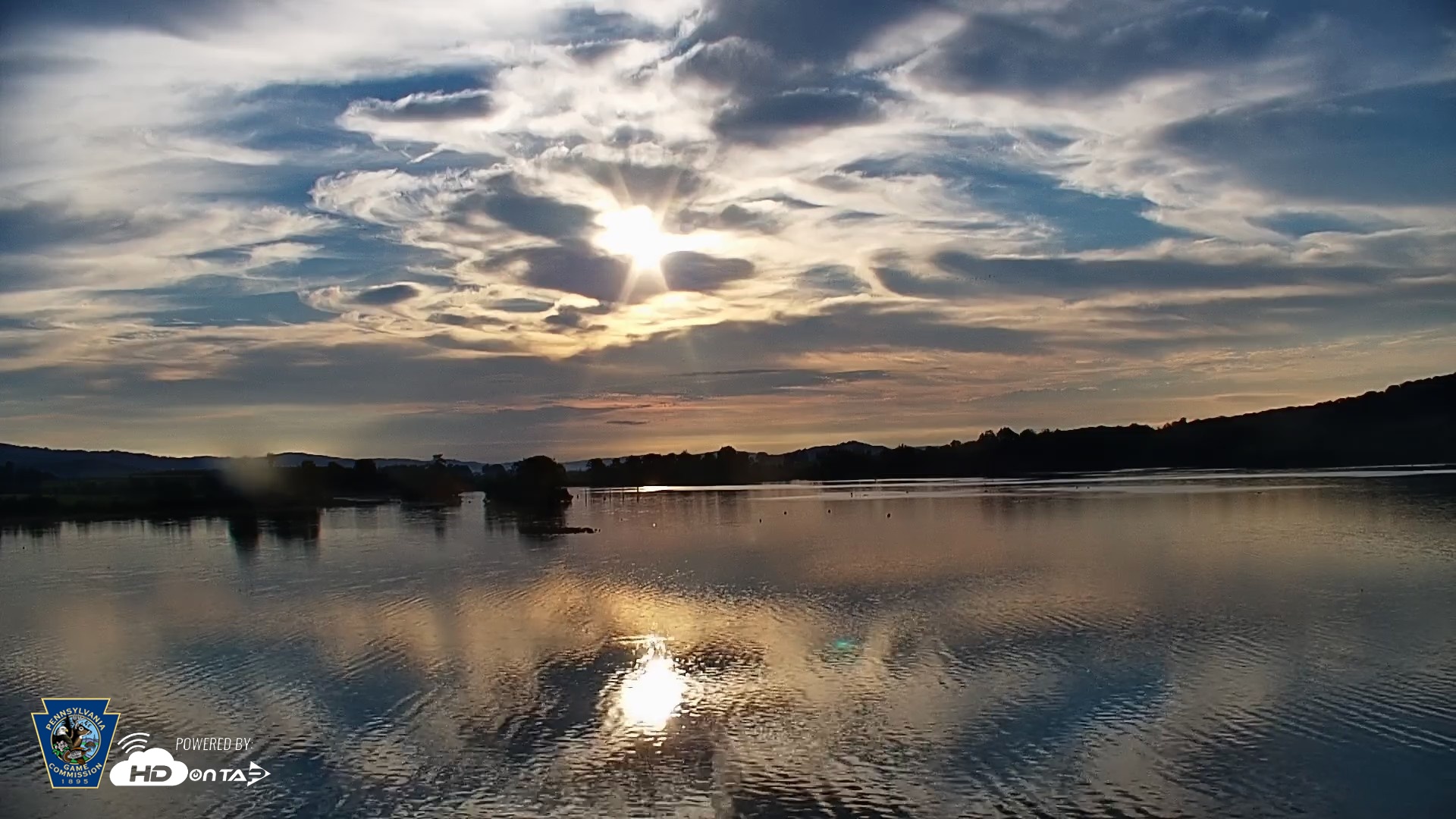 Snapshot of Pennsylvania Snow Geese Live Webcam taken Sep 10, 2026, 7:31am EDT