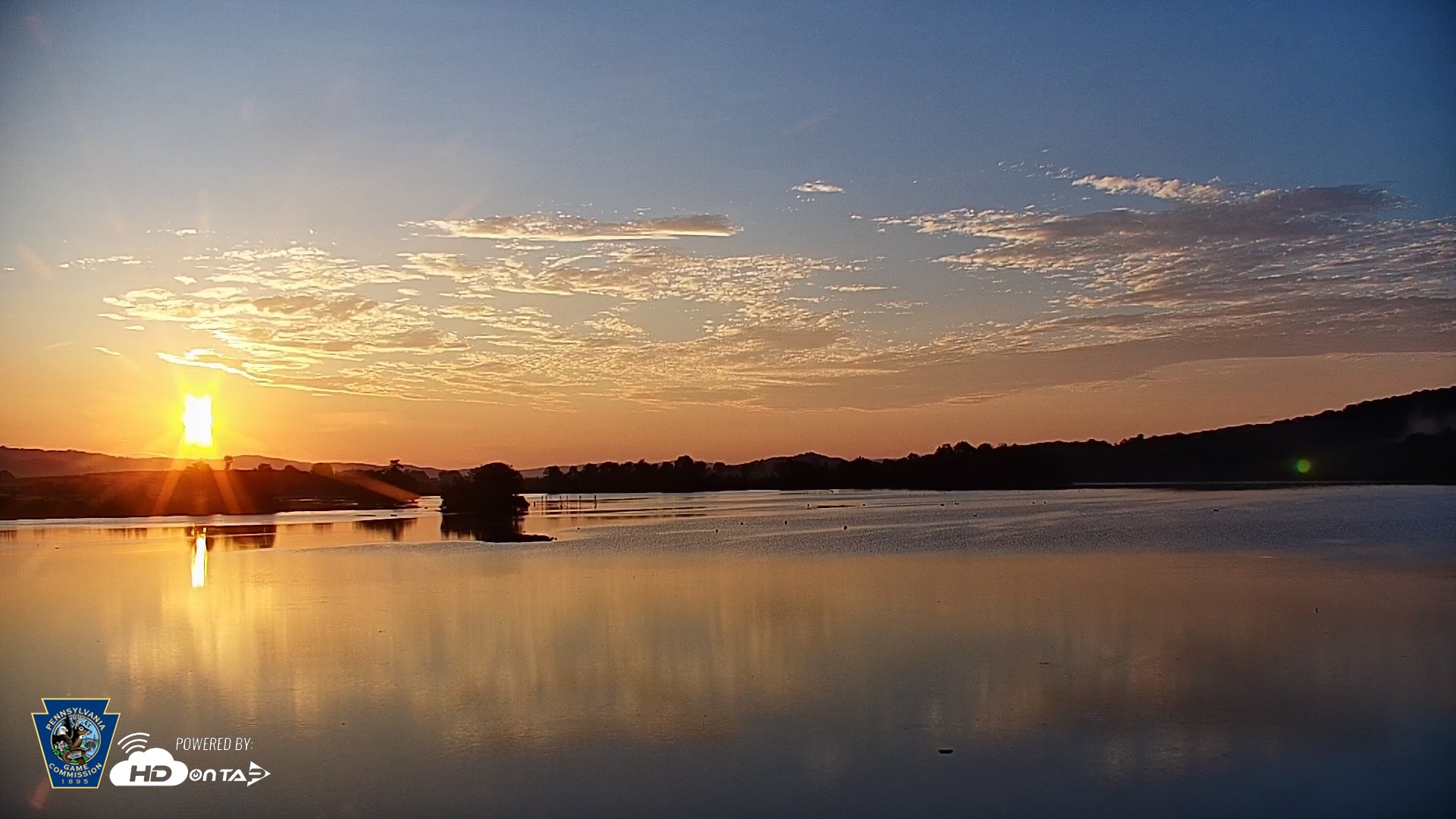 Snapshot of Pennsylvania Snow Geese Live Webcam taken Aug 18, 2026, 6:35am EDT