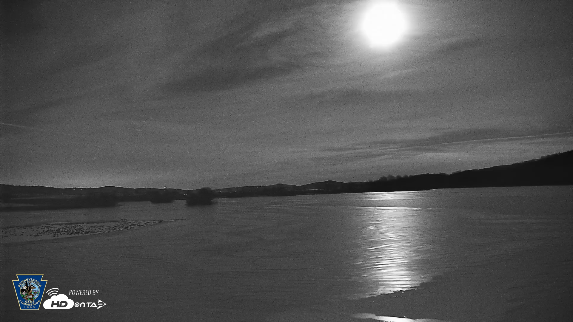 Snapshot of Pennsylvania Snow Geese Live Webcam taken Feb 4, 2026, 10:21pm EST