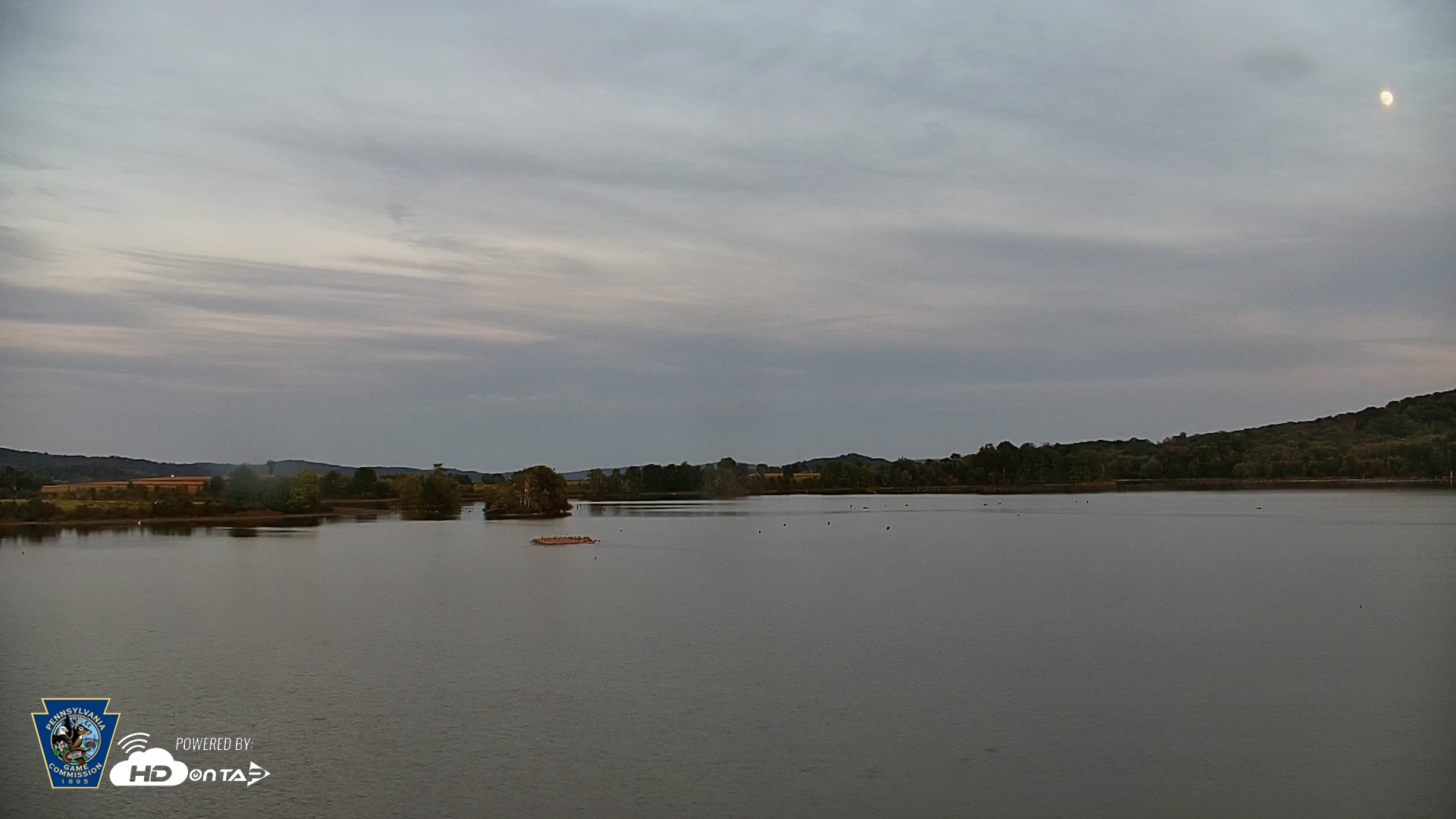 Snapshot of Pennsylvania Snow Geese Live Webcam taken Sep 23, 2026, 7:02pm EDT