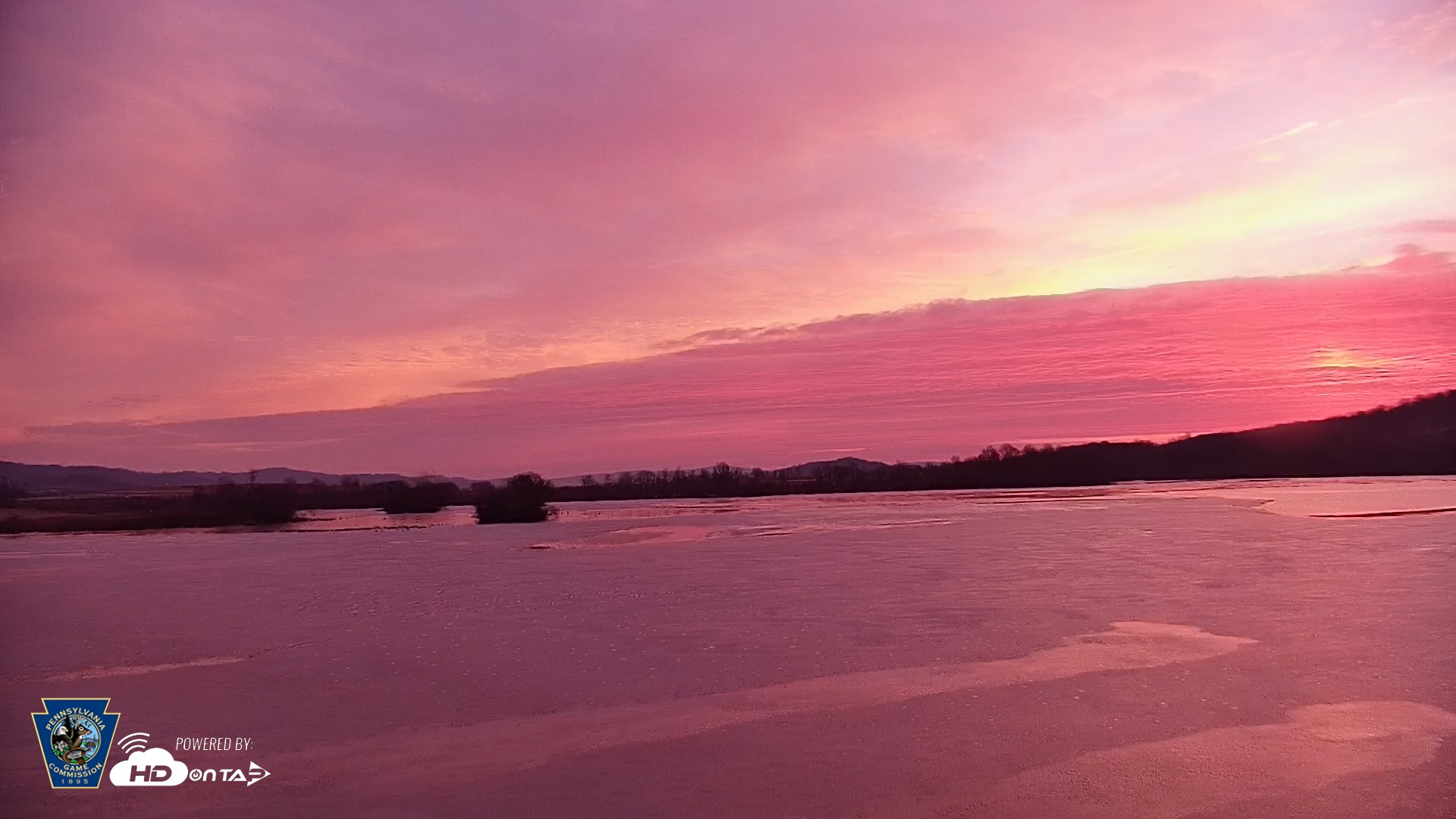 Snapshot of Pennsylvania Snow Geese Live Webcam taken Dec 4, 2025, 7:07am EST