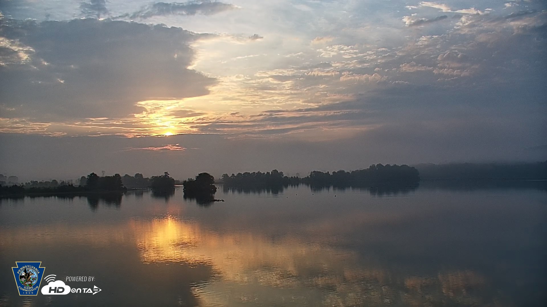 Snapshot of Pennsylvania Snow Geese Live Webcam taken Sep 1, 2026, 6:59am EDT